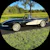 Owner Avatar