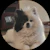 Owner Avatar