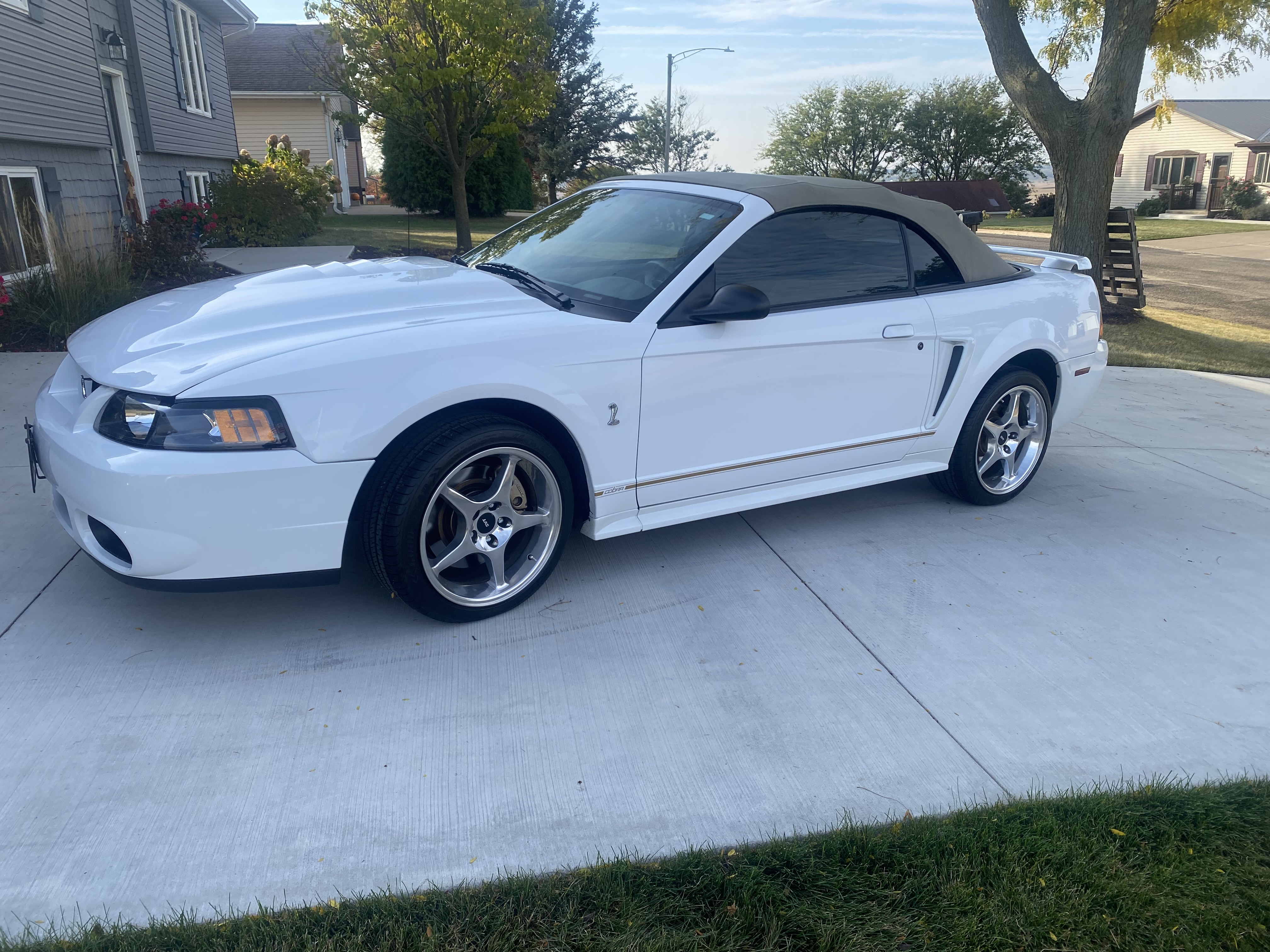 2001 Ford Mustang