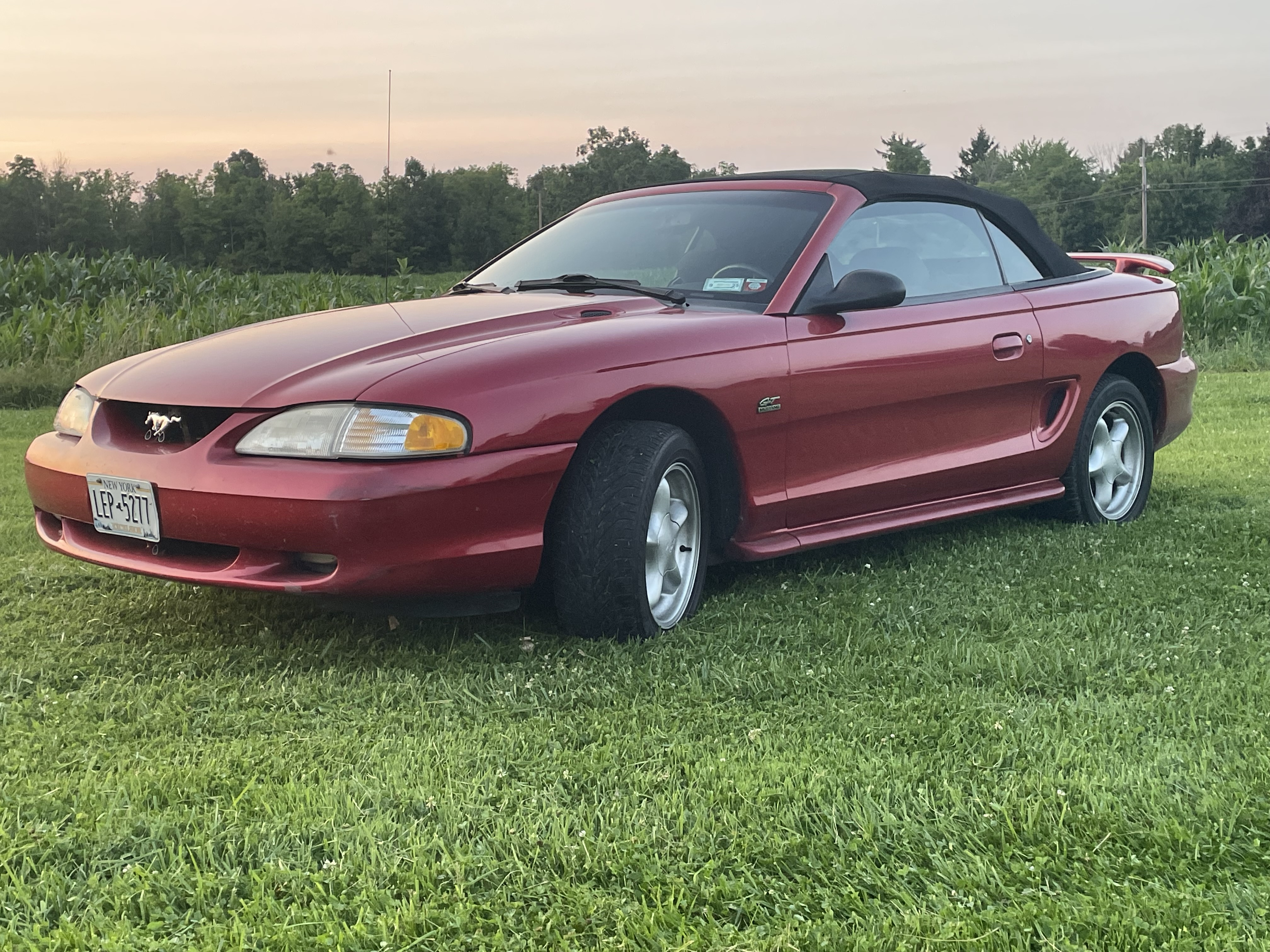 1994 Ford Sale or Trade Mustang 5.0