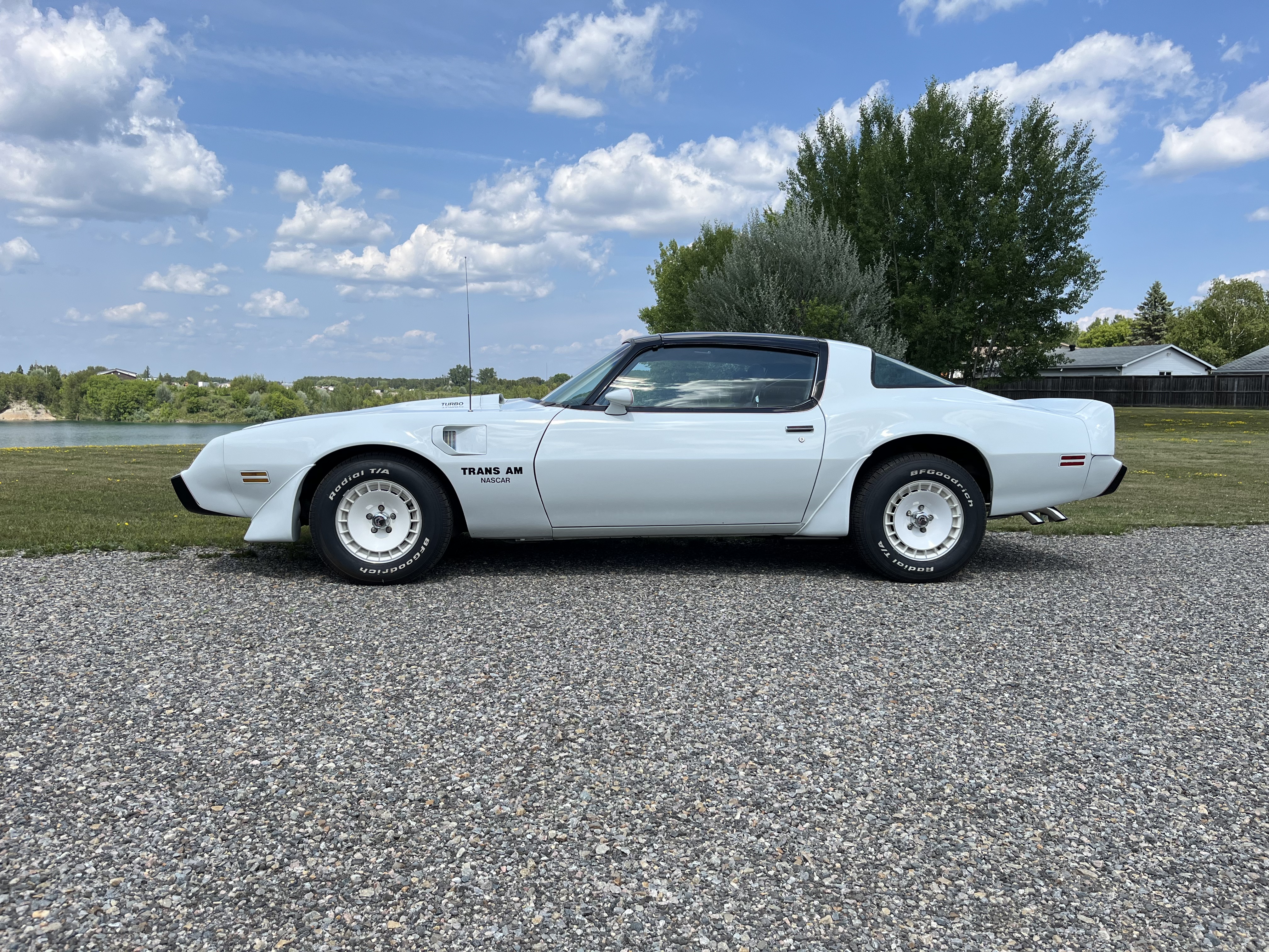 1981 Pontiac Firebird Trans Am