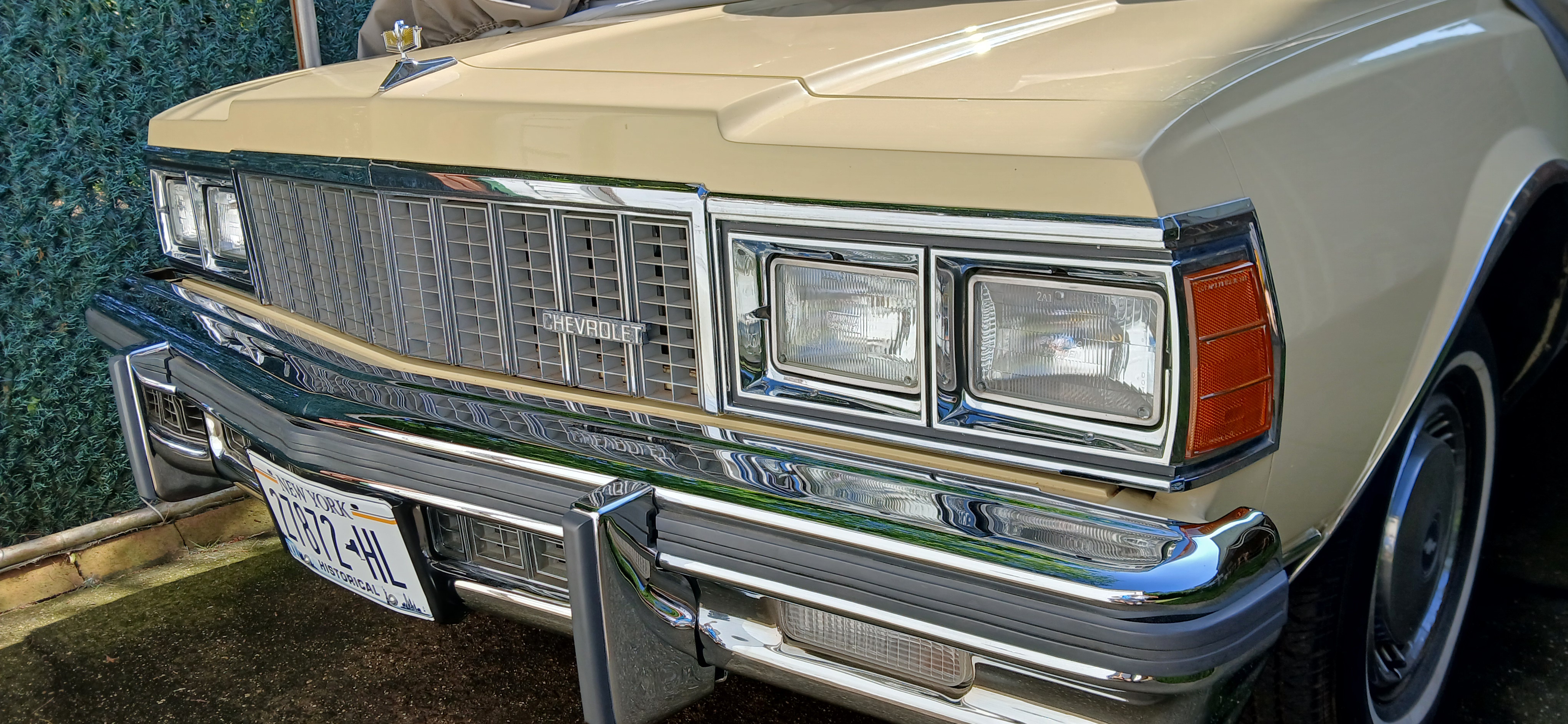 1979 Chevrolet Caprice