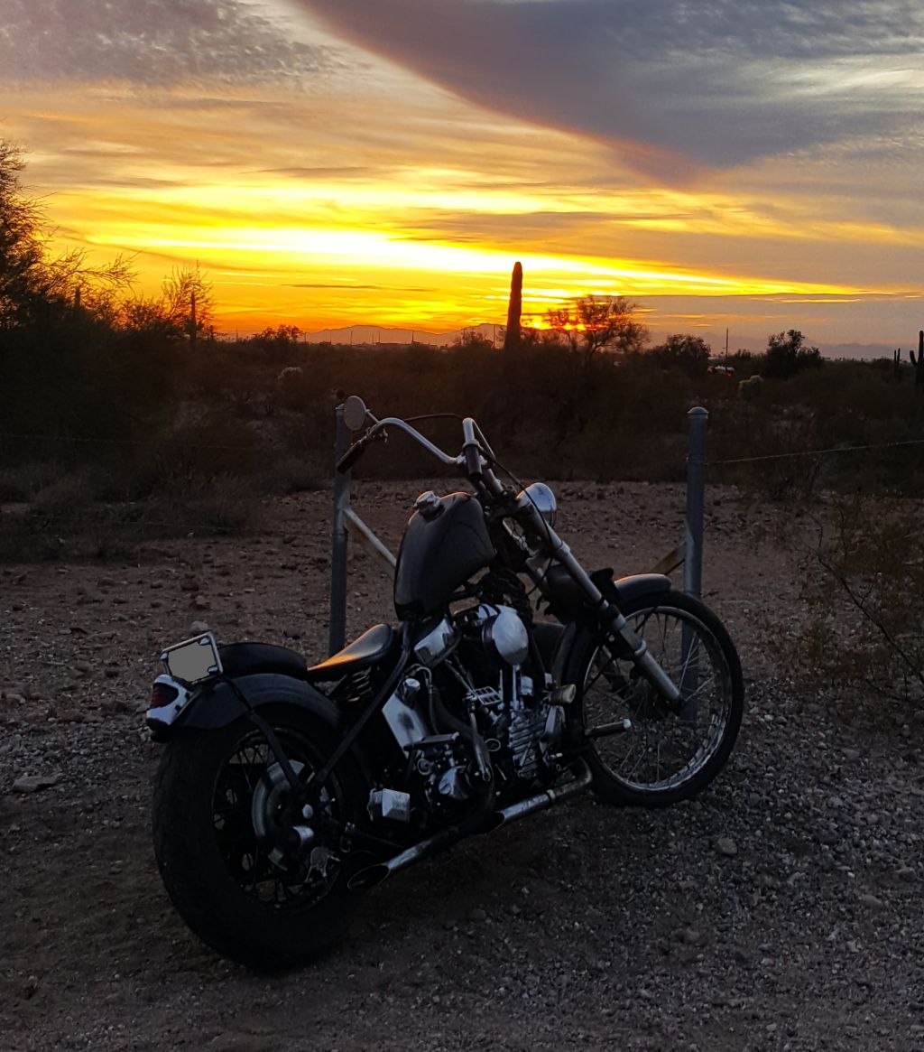 1951 Harley-Davidson FL