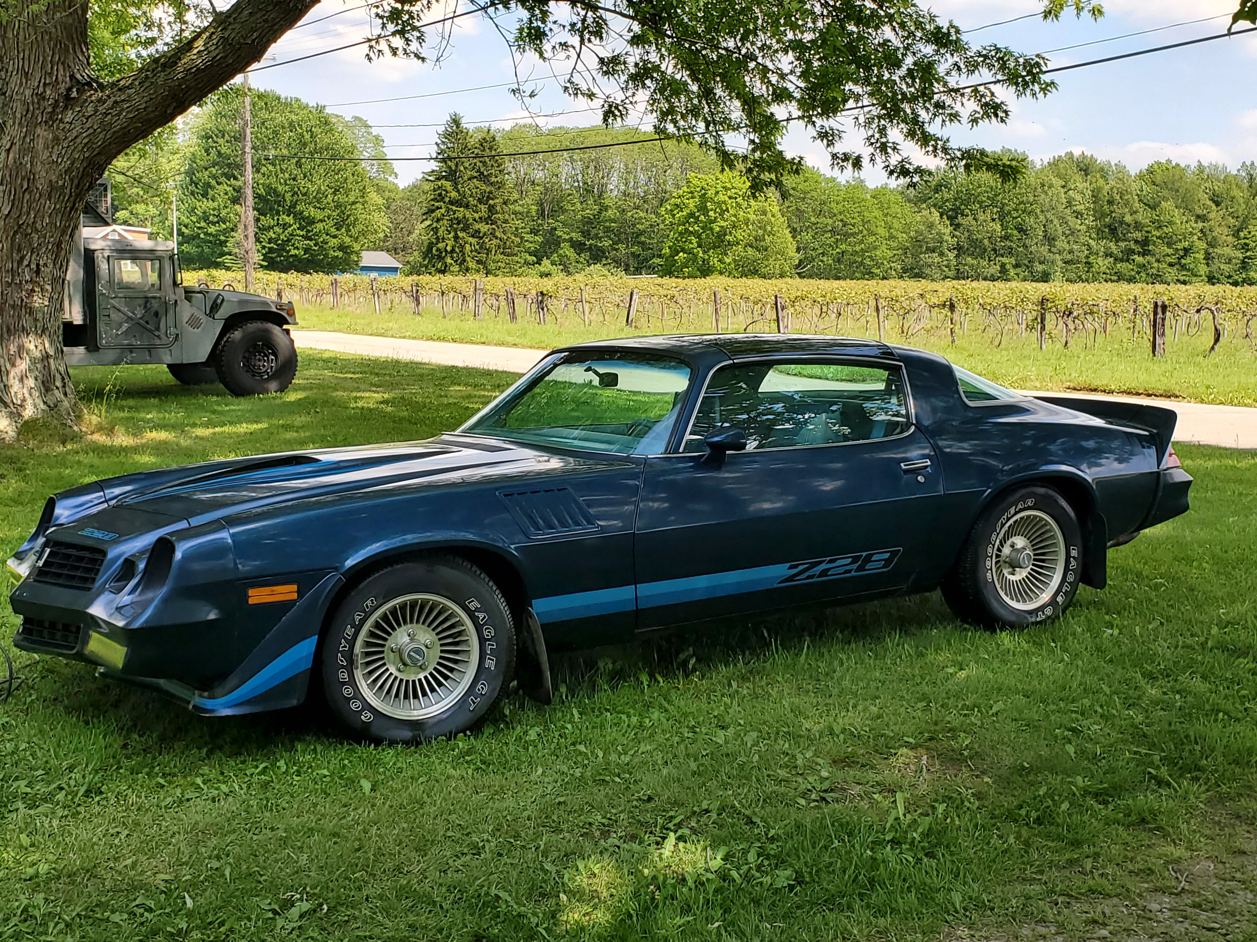 1979 Chevrolet Camaro