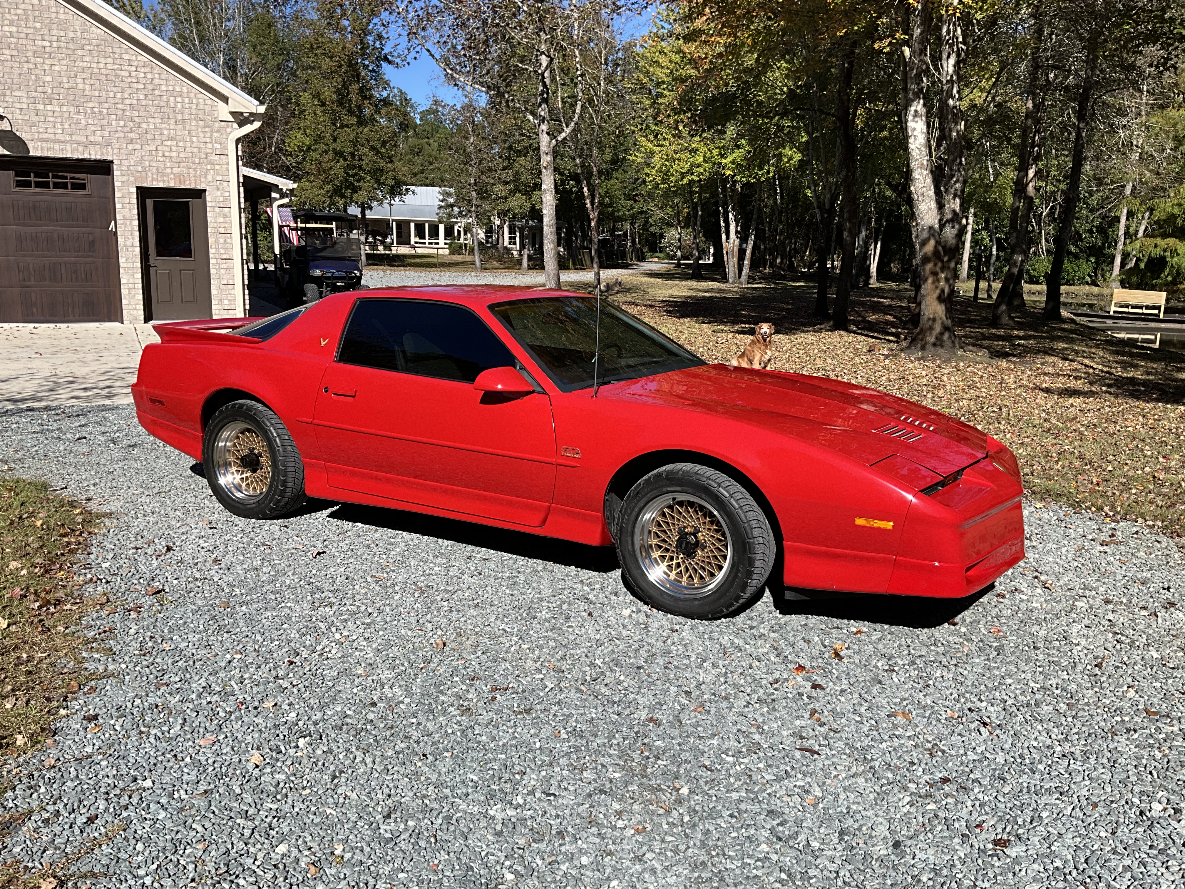 1988 Pontiac Firebird