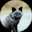MBSilverFox's avatar