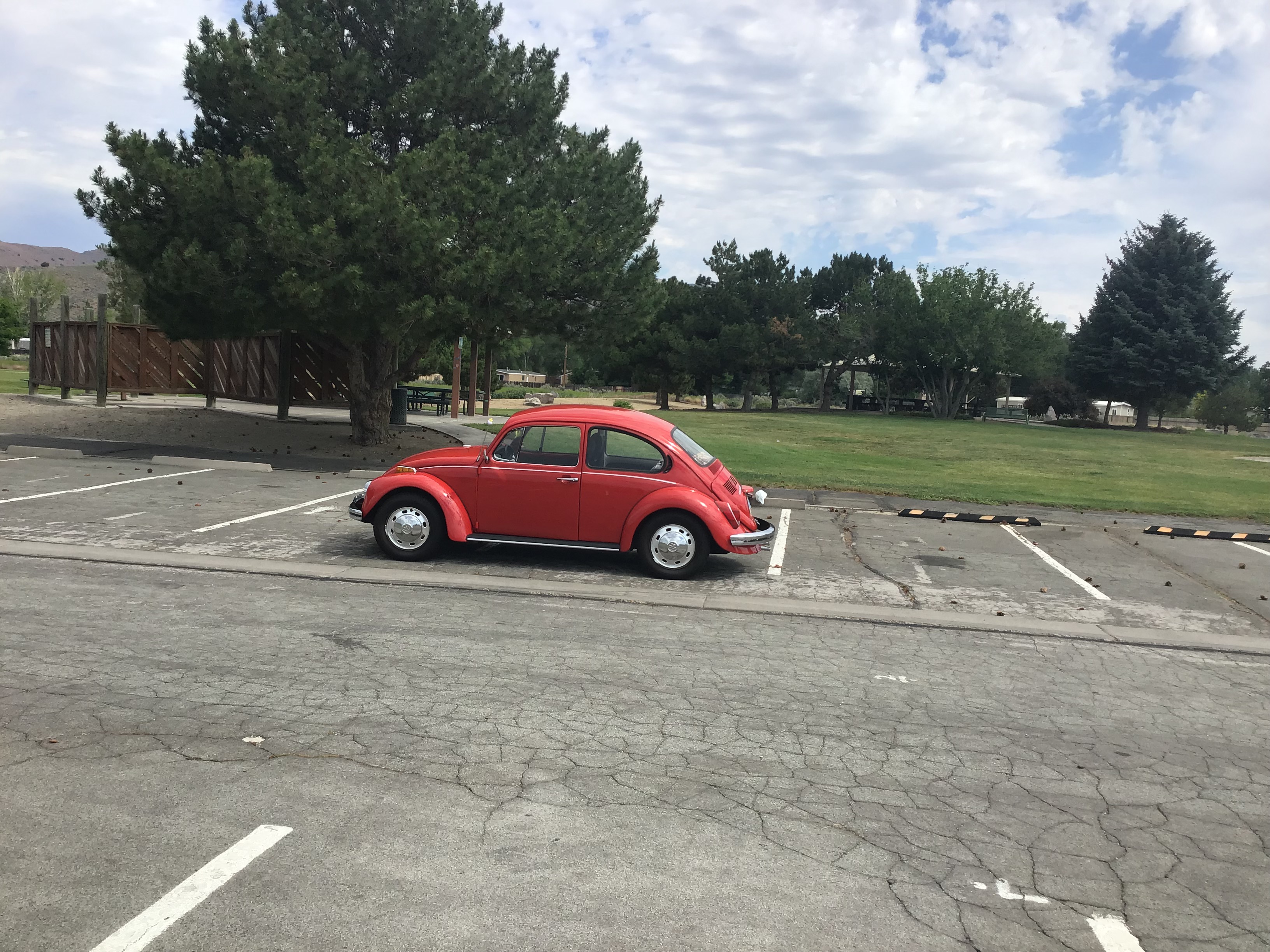 1972 Volkswagen Beetle