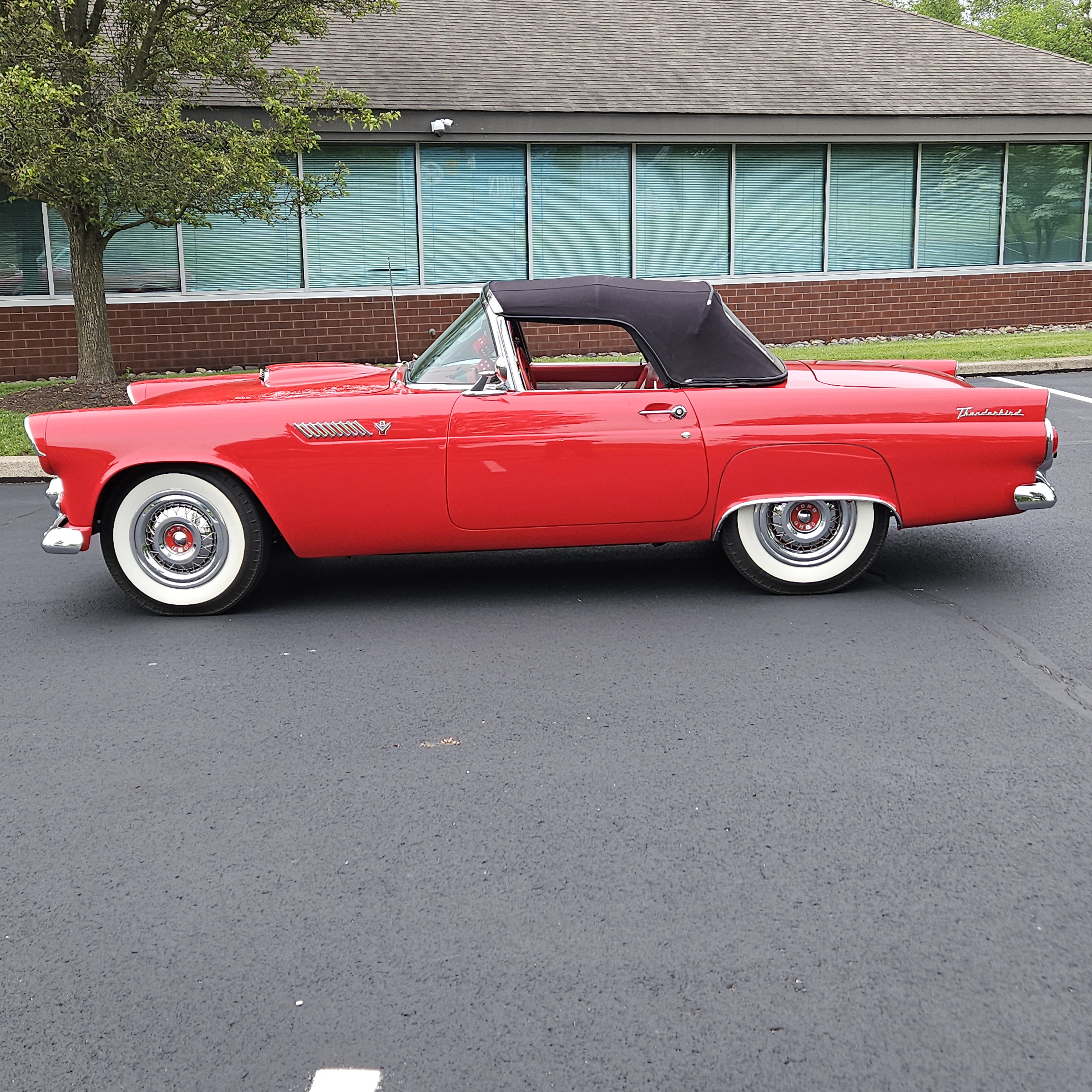 1955 Ford Thunderbird