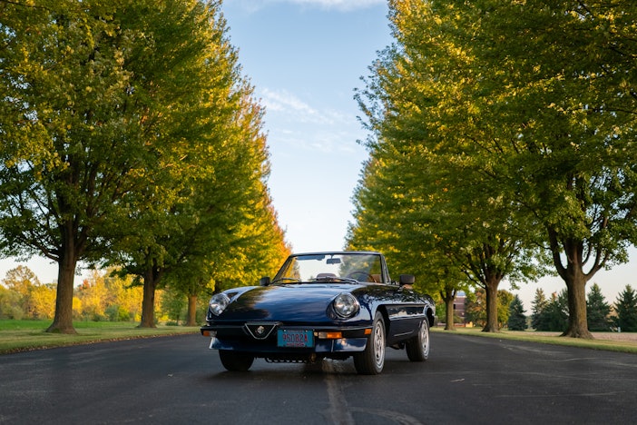 1984 Alfa Romeo Spider