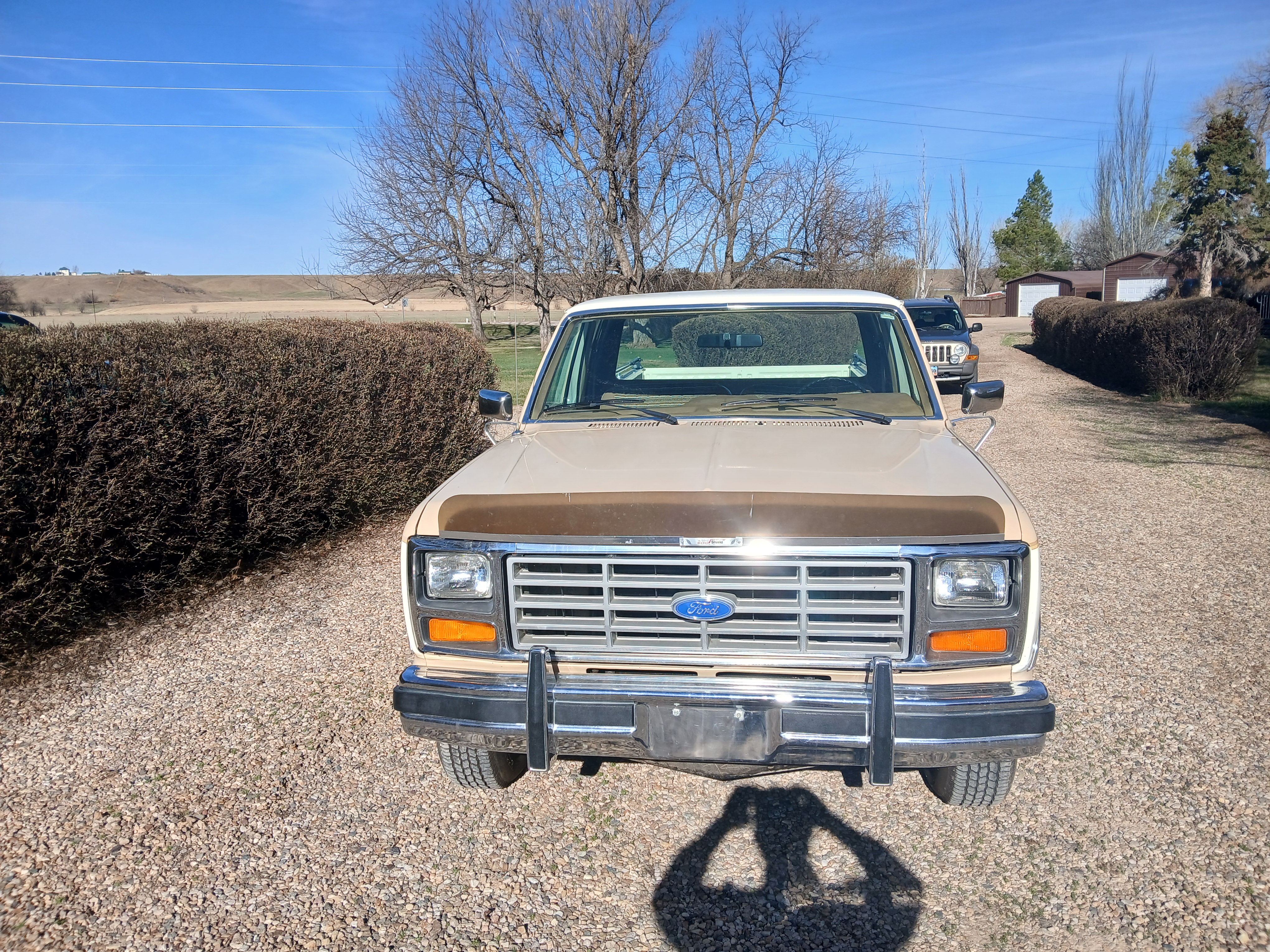 1983 Ford F-150