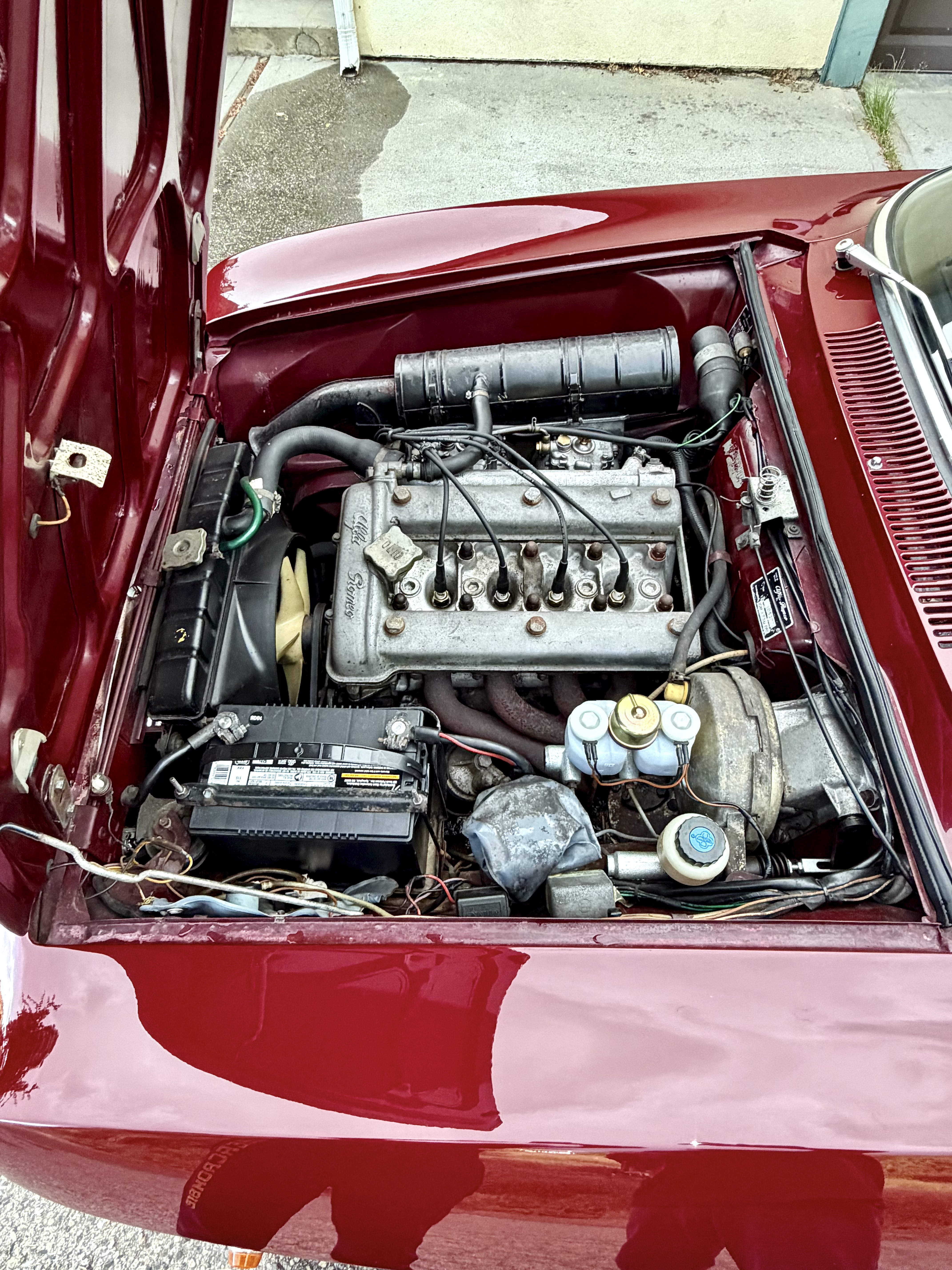 1971 Alfa Romeo GT 1300 Junior for sale