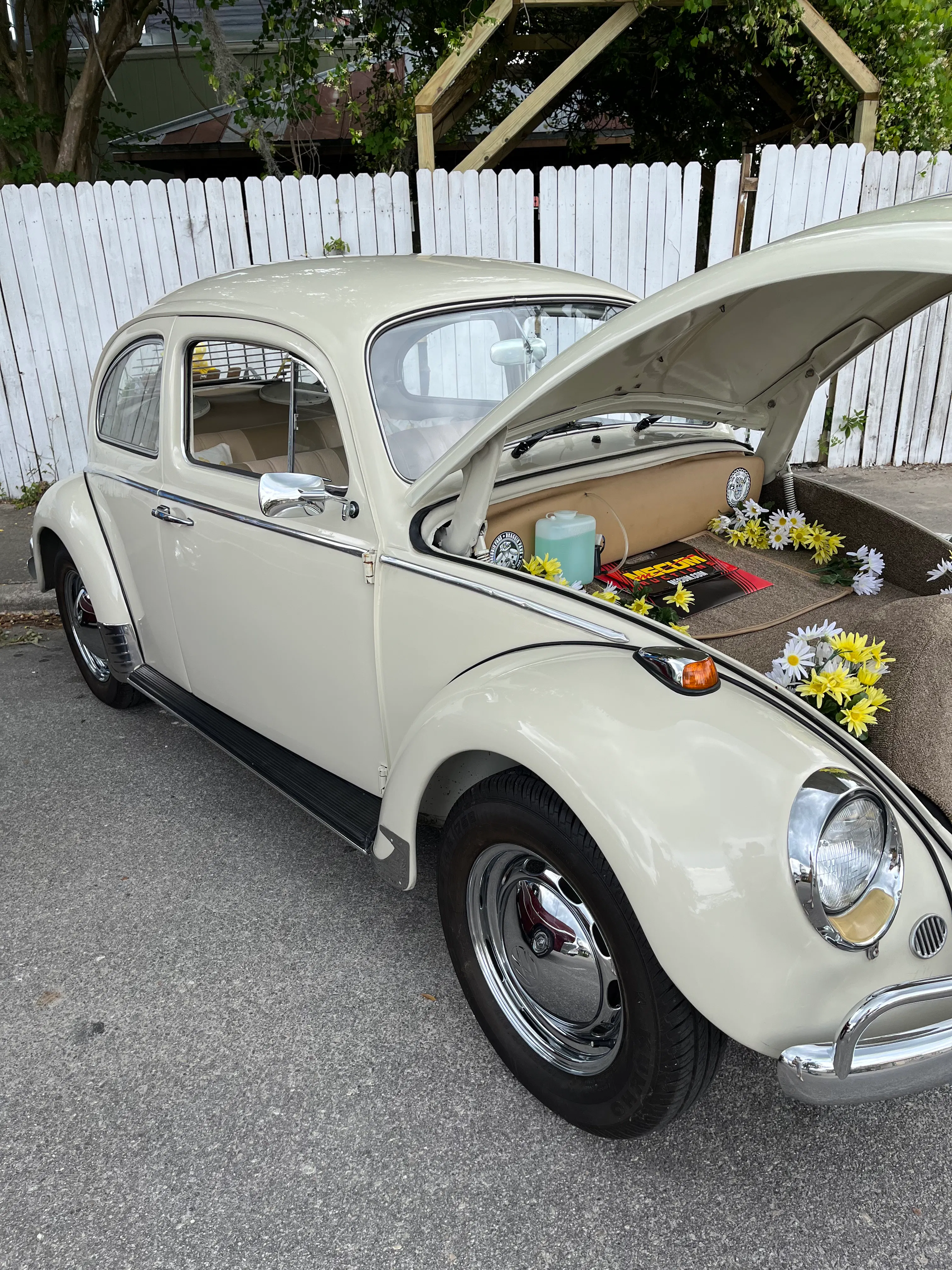 1968 Volkswagen Bug