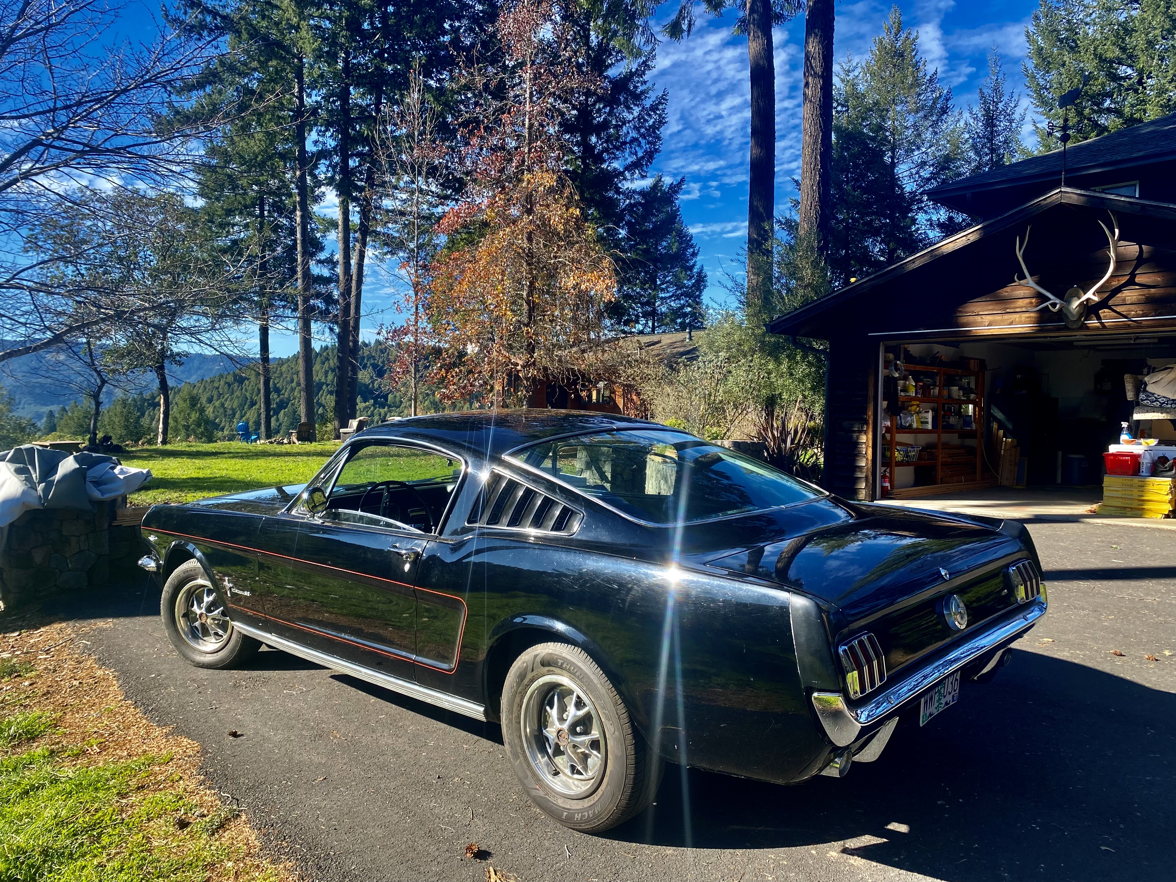 1966 Ford Mustang