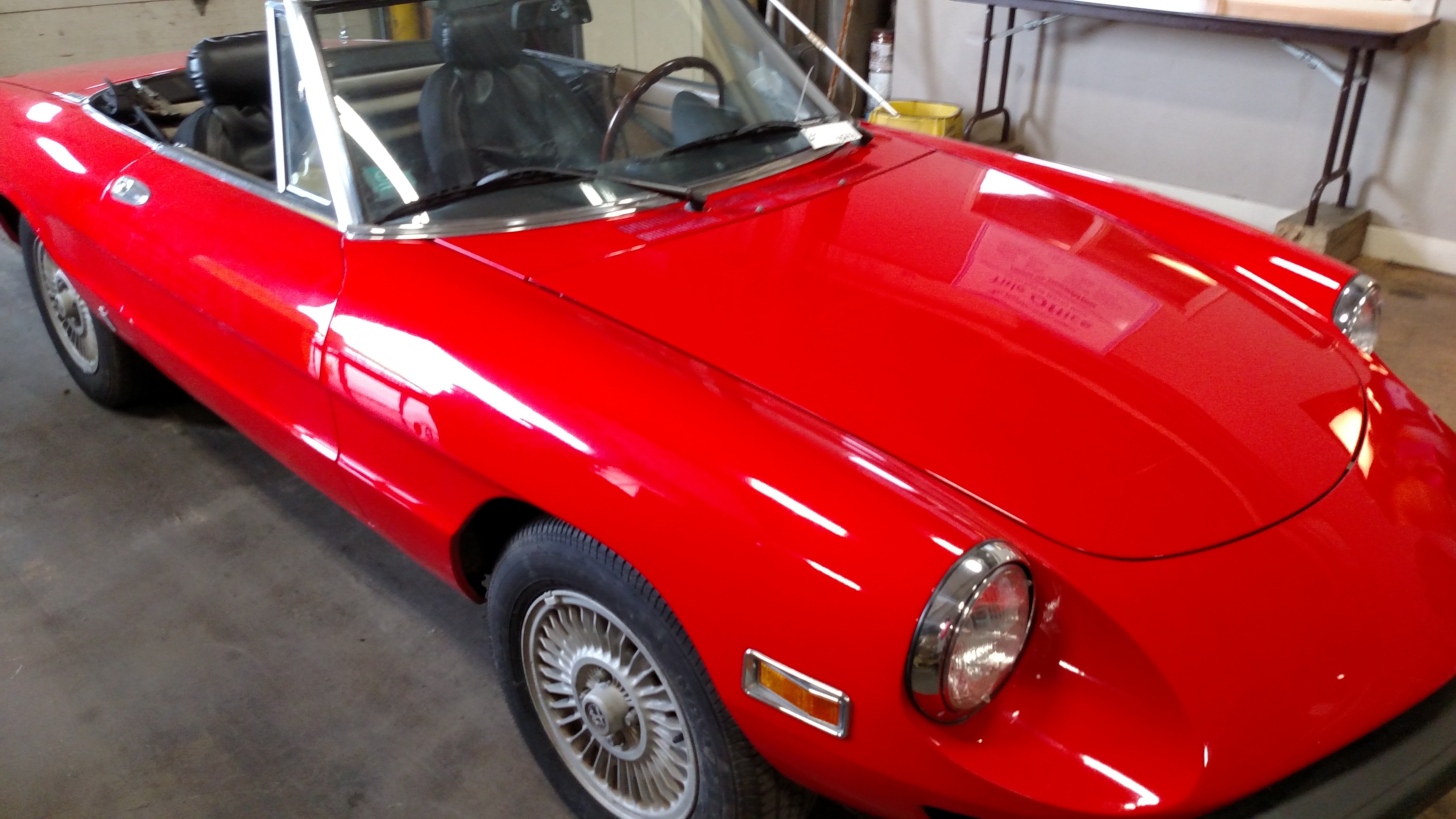 1979 Alfa Romeo Spider
