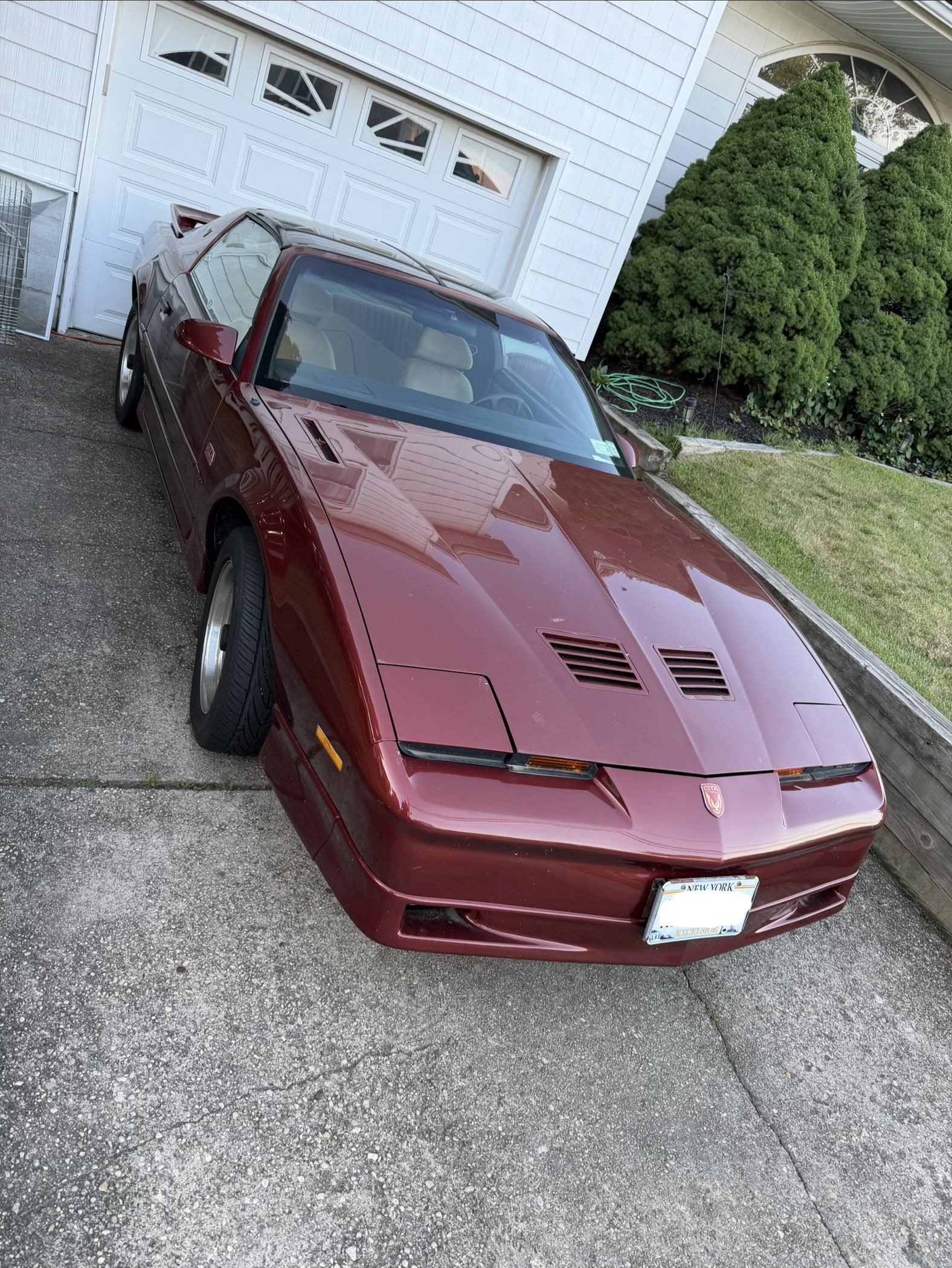 1988 Pontiac Firebird