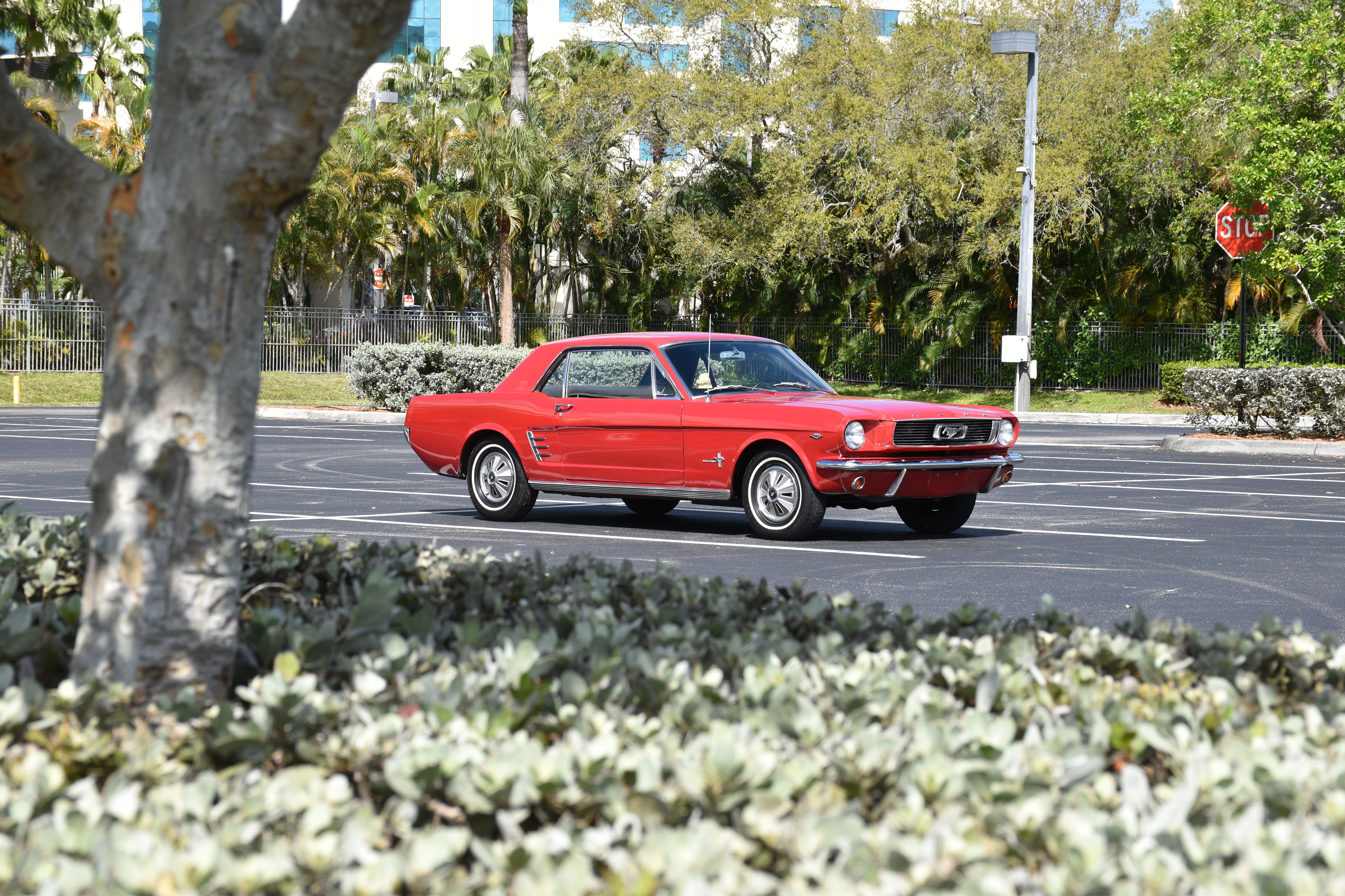 1966 Ford Mustang
