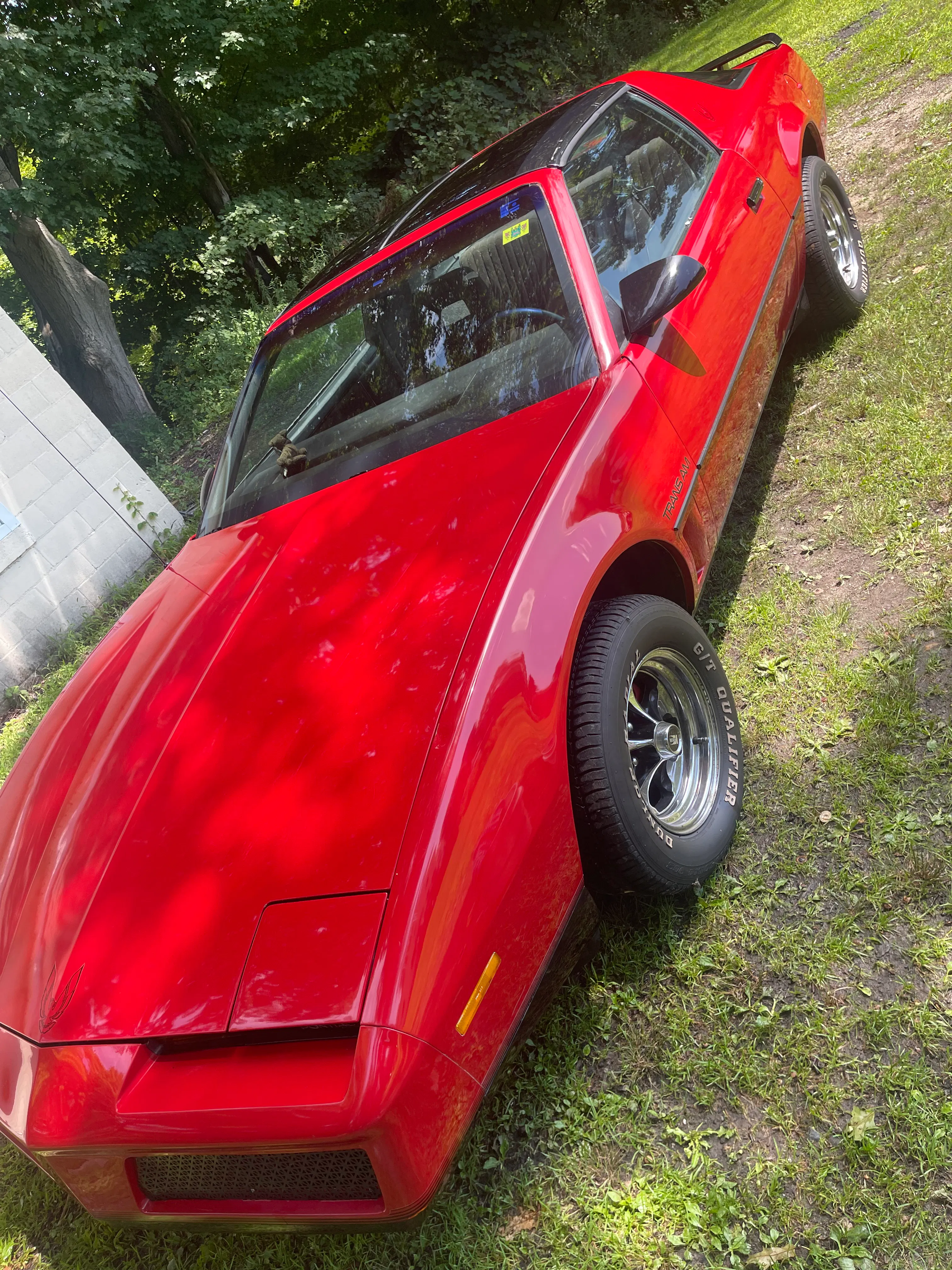 1982 Pontiac Firebird Trans-Am
