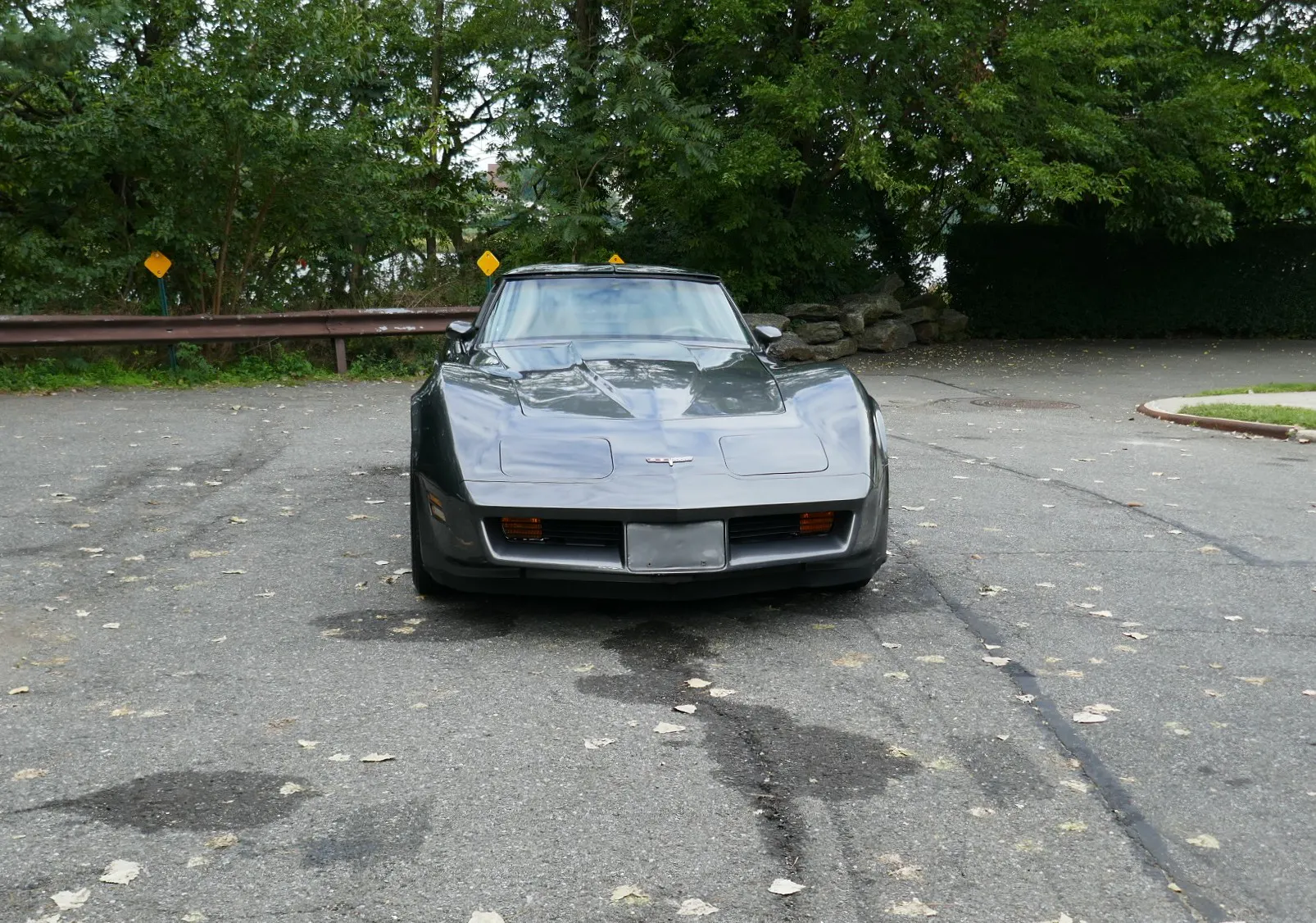 1981 Chevrolet Corvette
