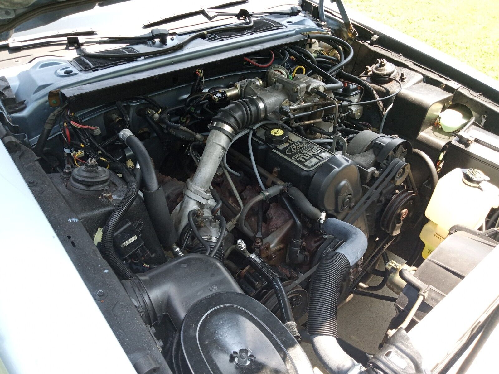 1986 Ford Thunderbird for sale