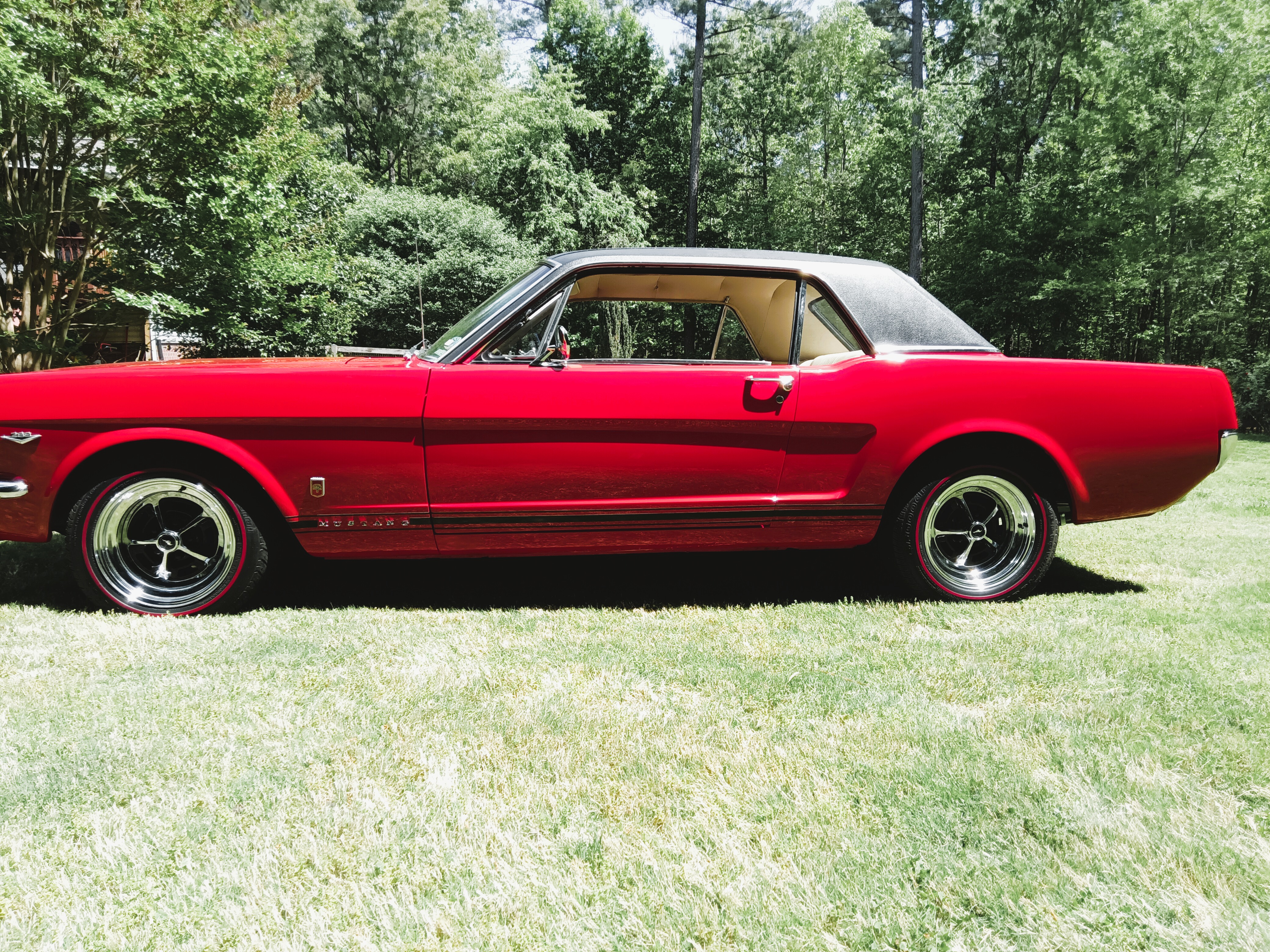1966 Ford Mustang