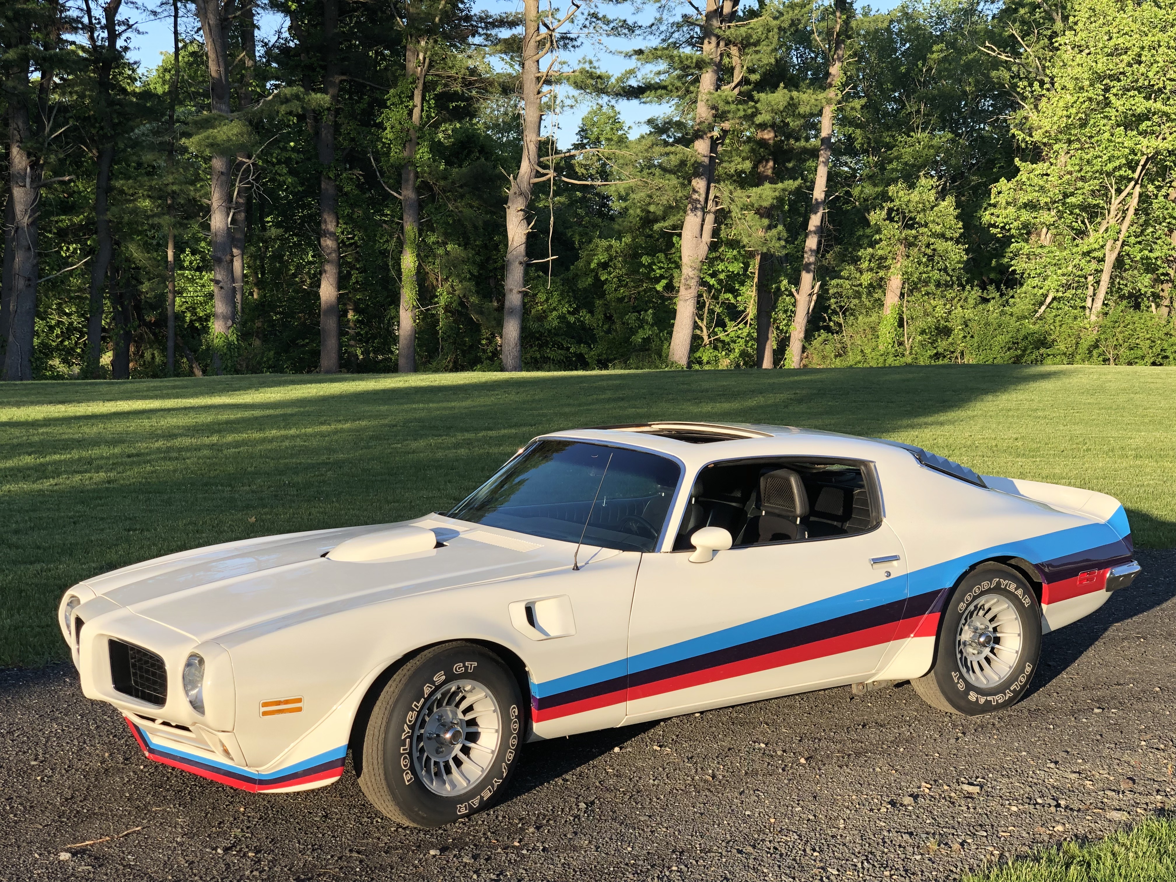 1973 Pontiac Firebird