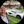 Wallaceauto