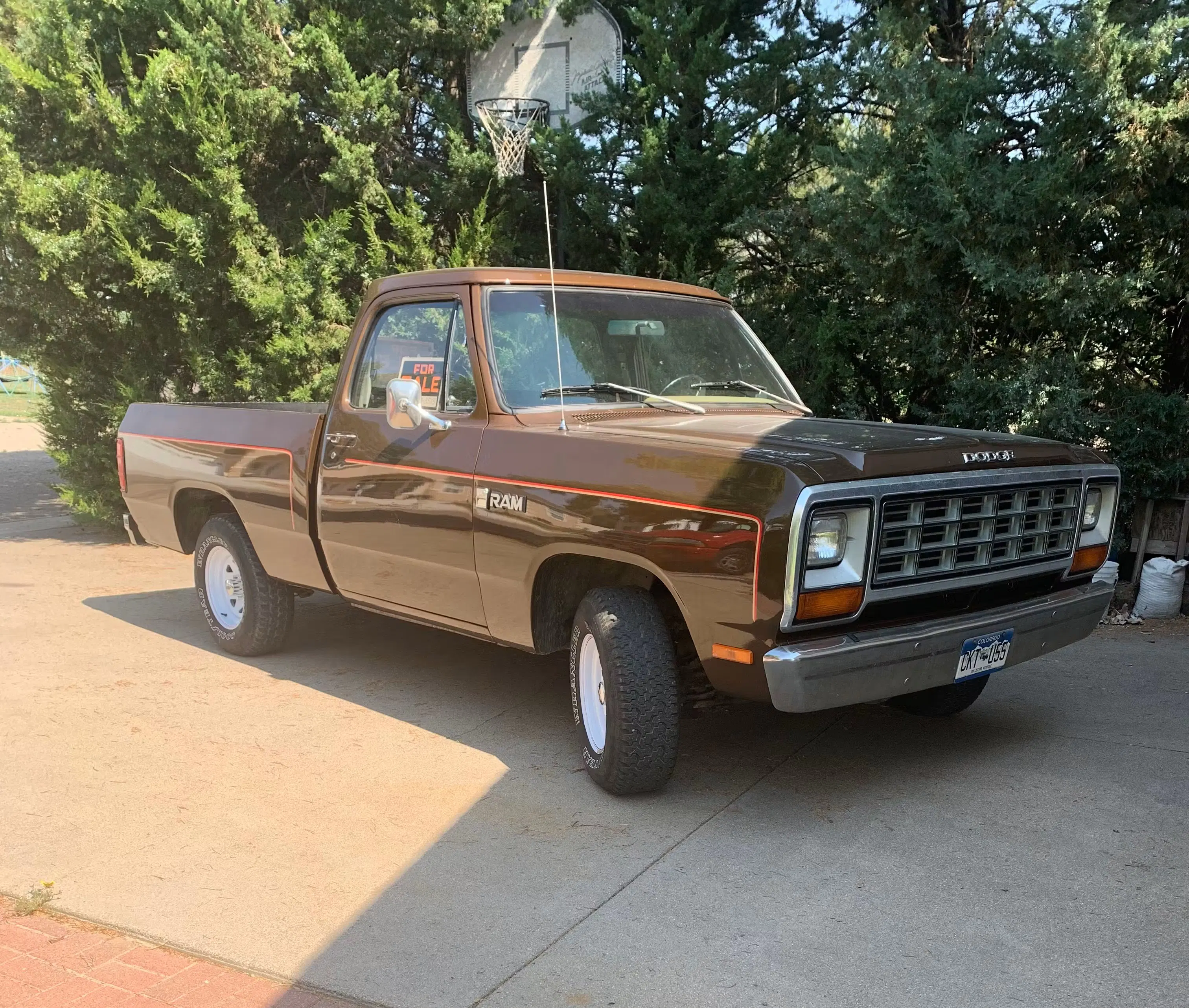 1981 Dodge D150