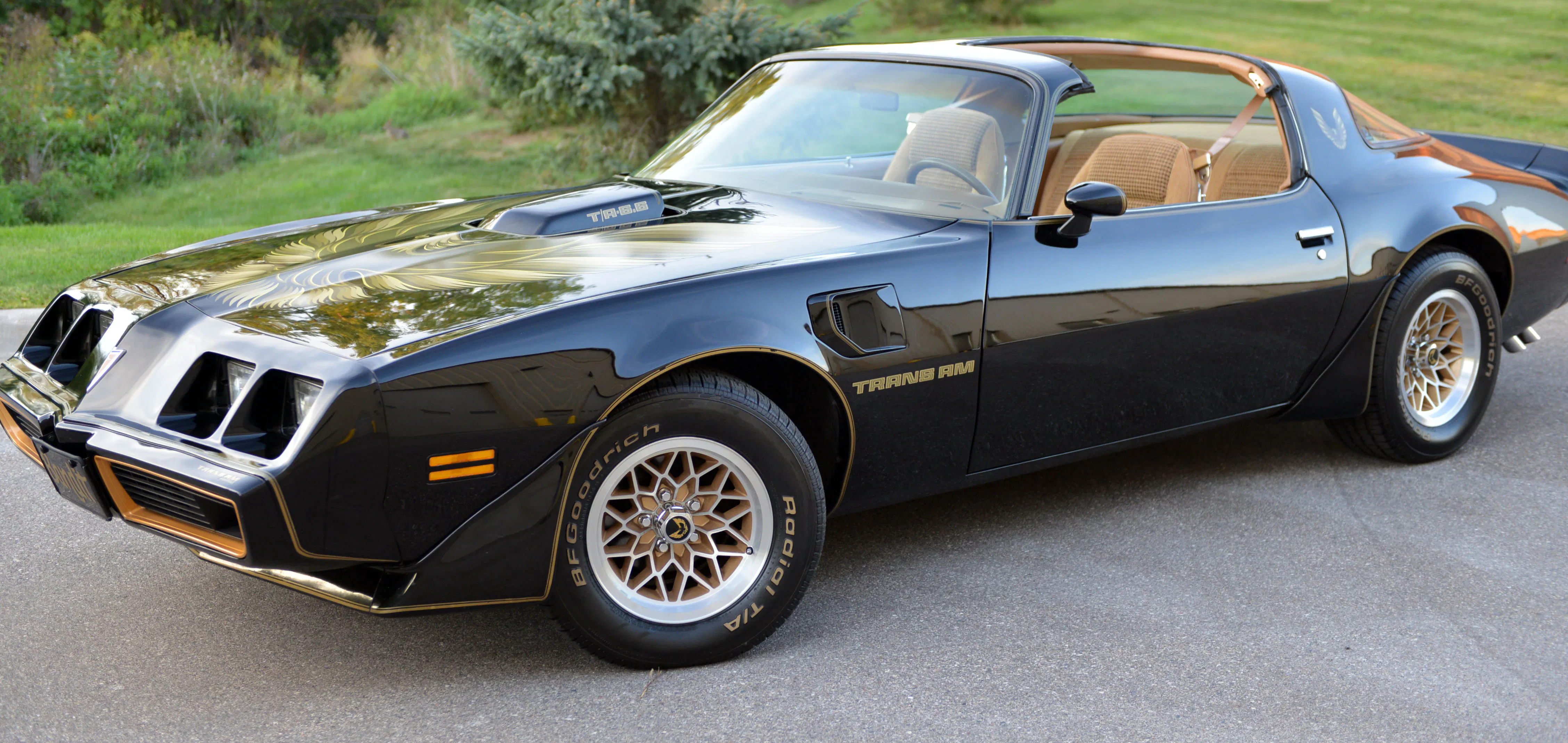 1979 Pontiac Firebird