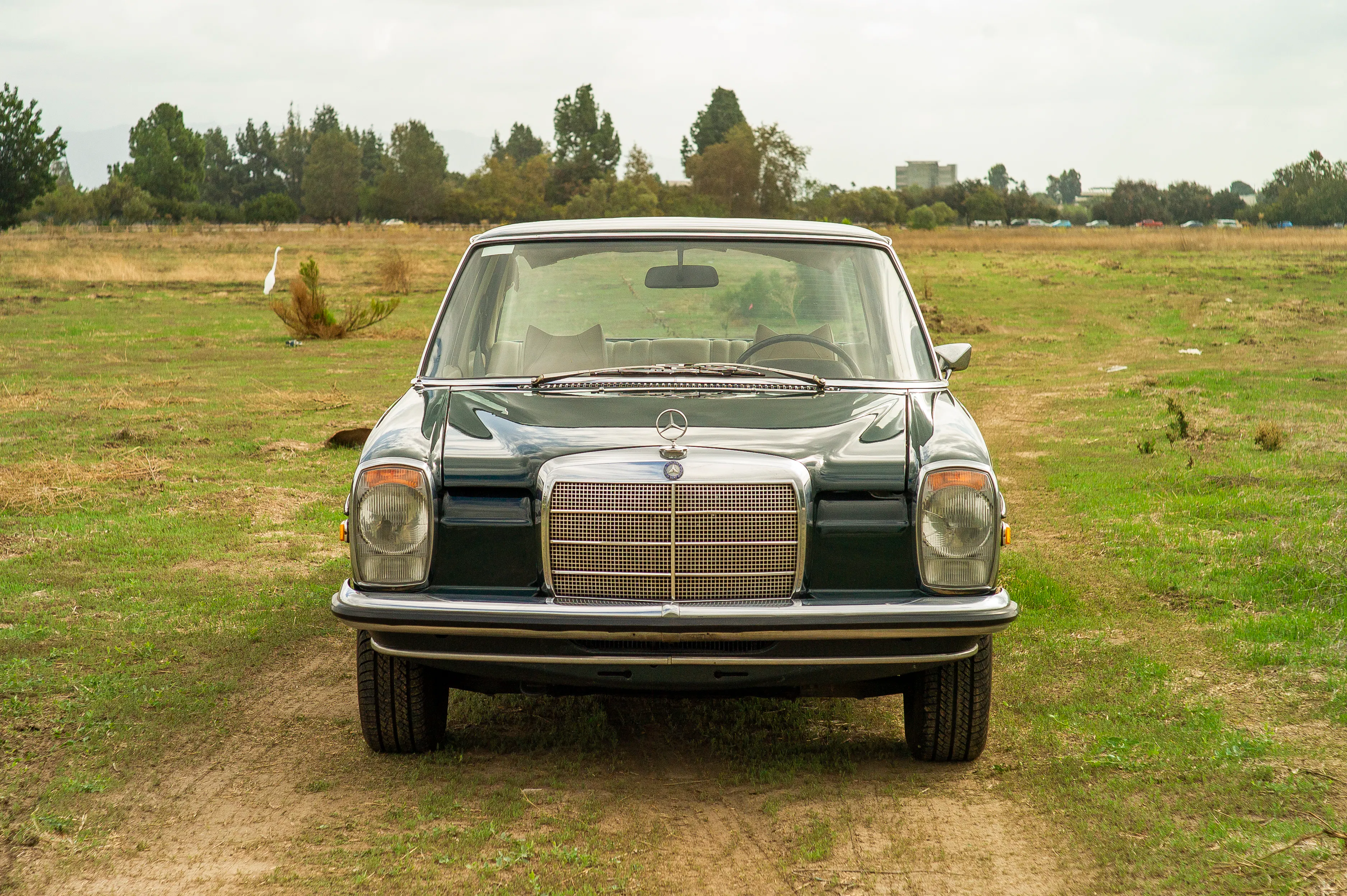 1971 Mercedes-Benz 220
