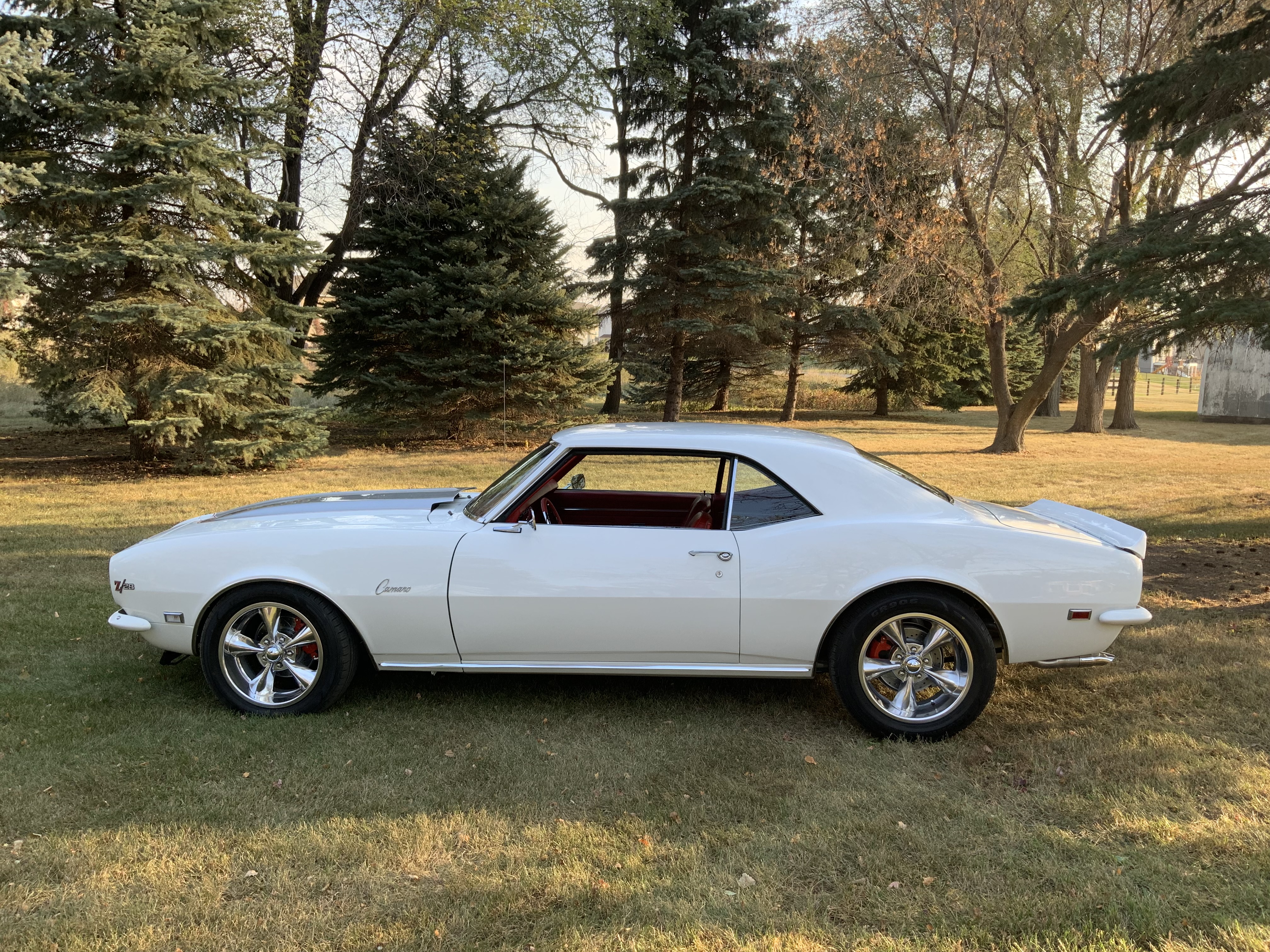 1968 Chevrolet Z28 clone
