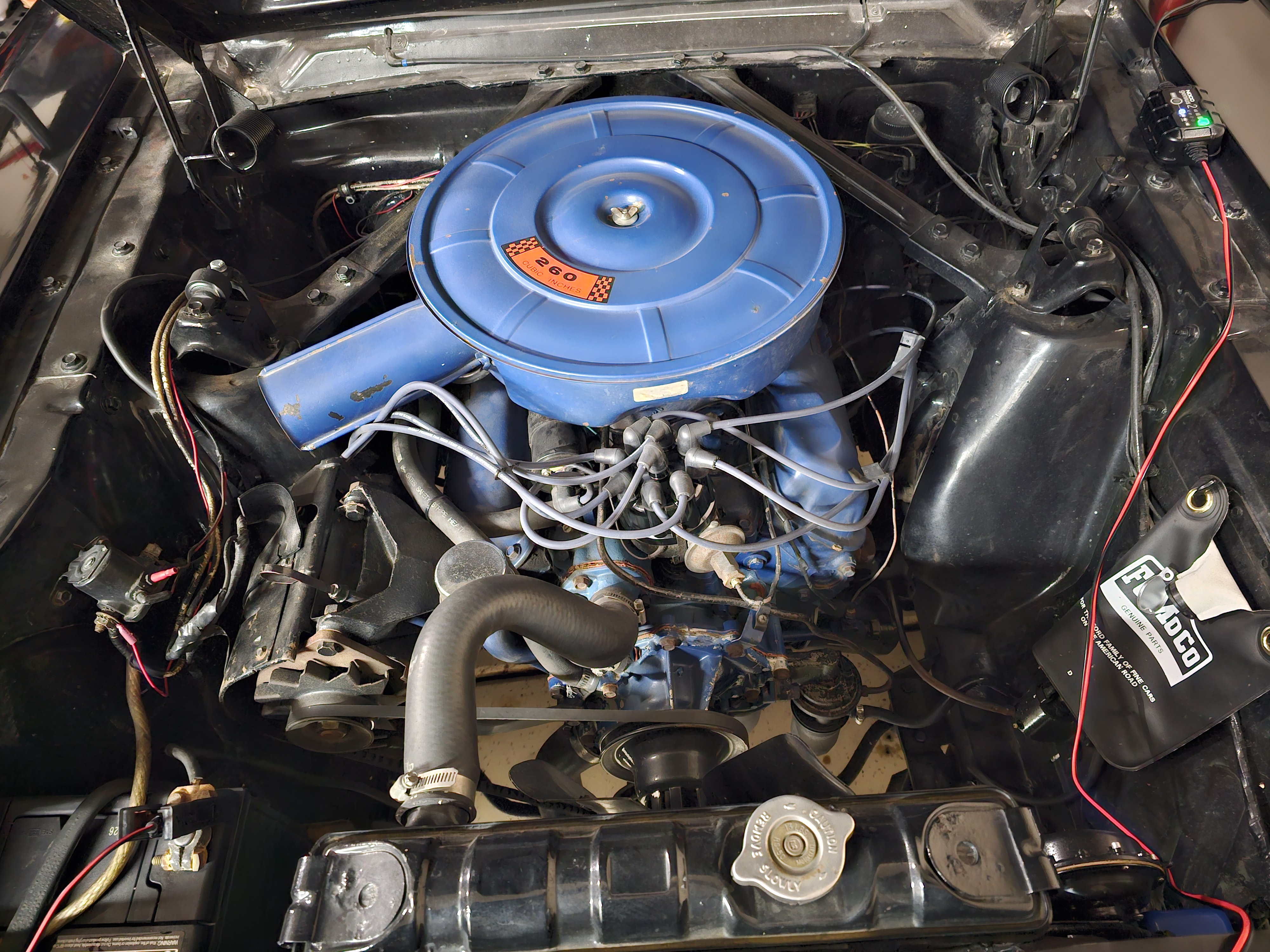 1965 Ford Mustang