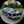 MotorcarGuy