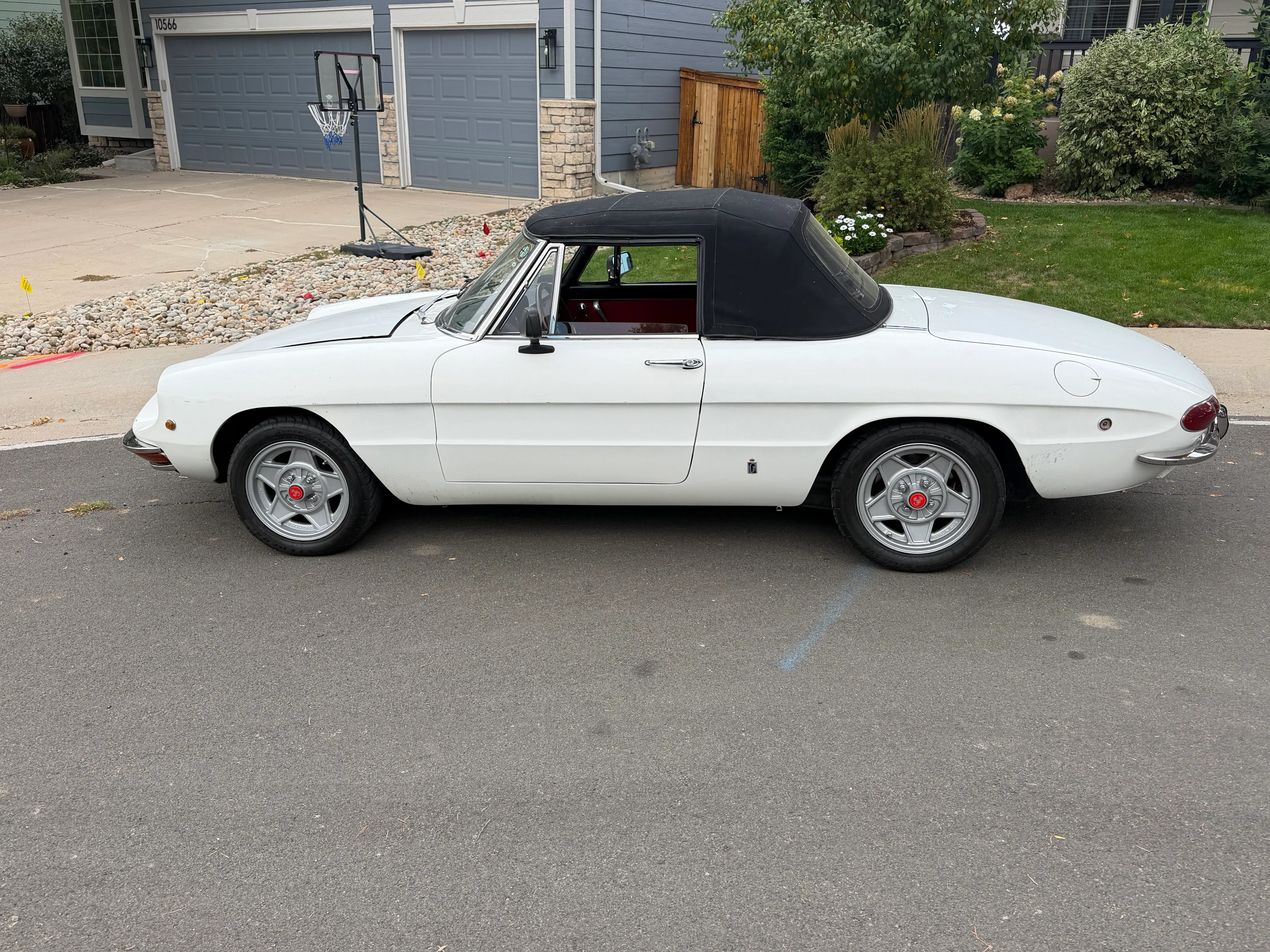 1969 Alfa Romeo Spider