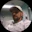 danny4817's avatar