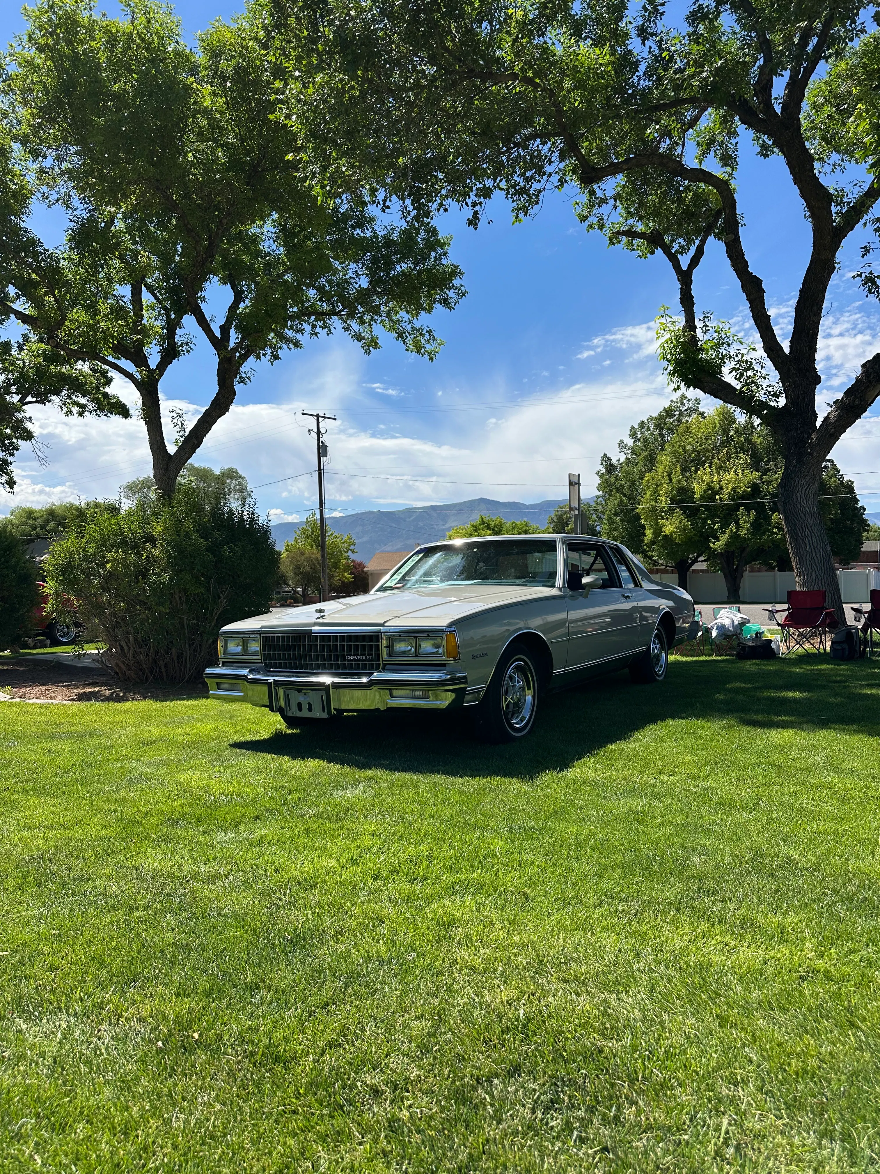 1980 Chevrolet Caprice Classic