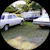 Owner Avatar