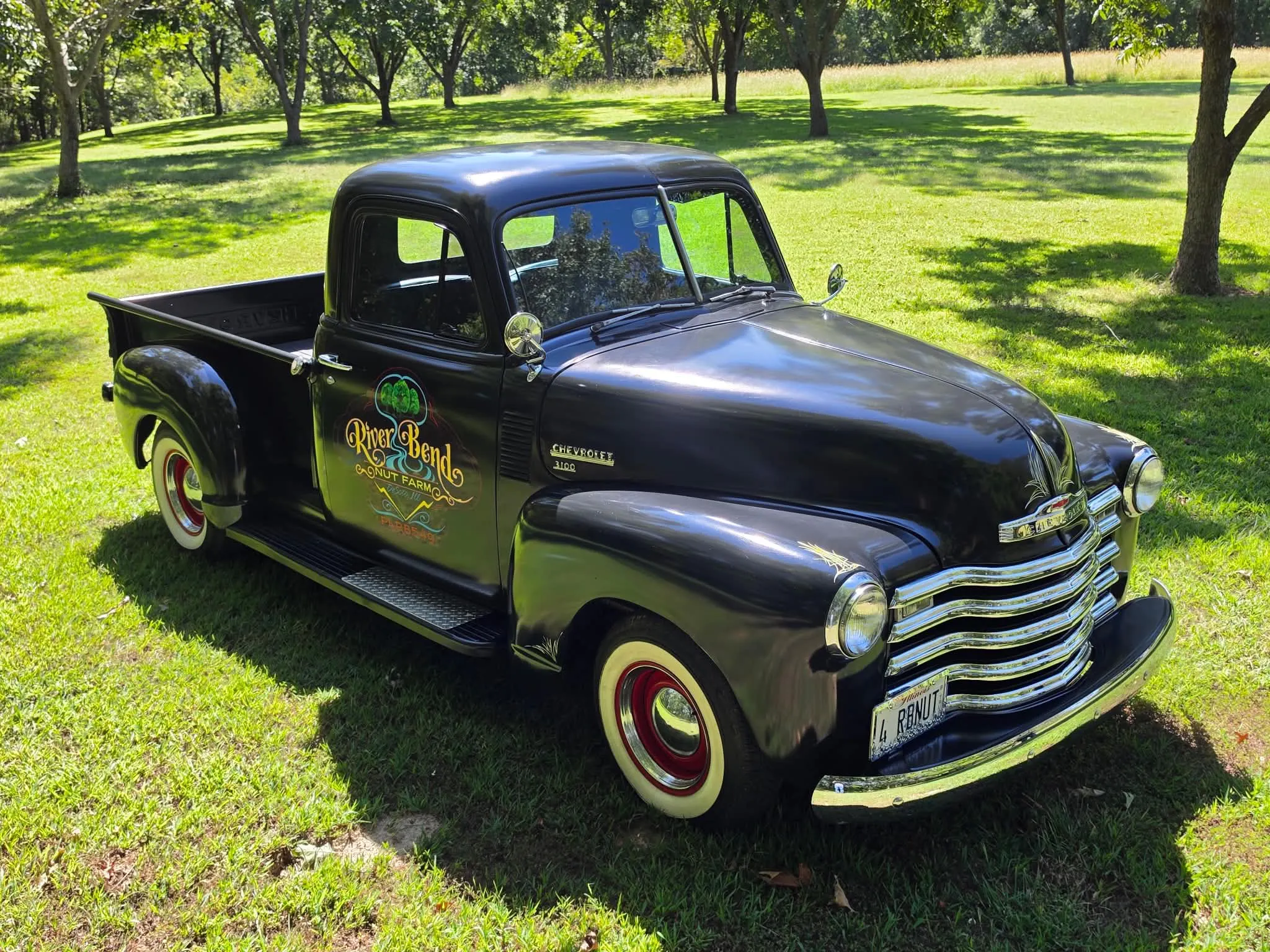 1951 Chevrolet Series 3100