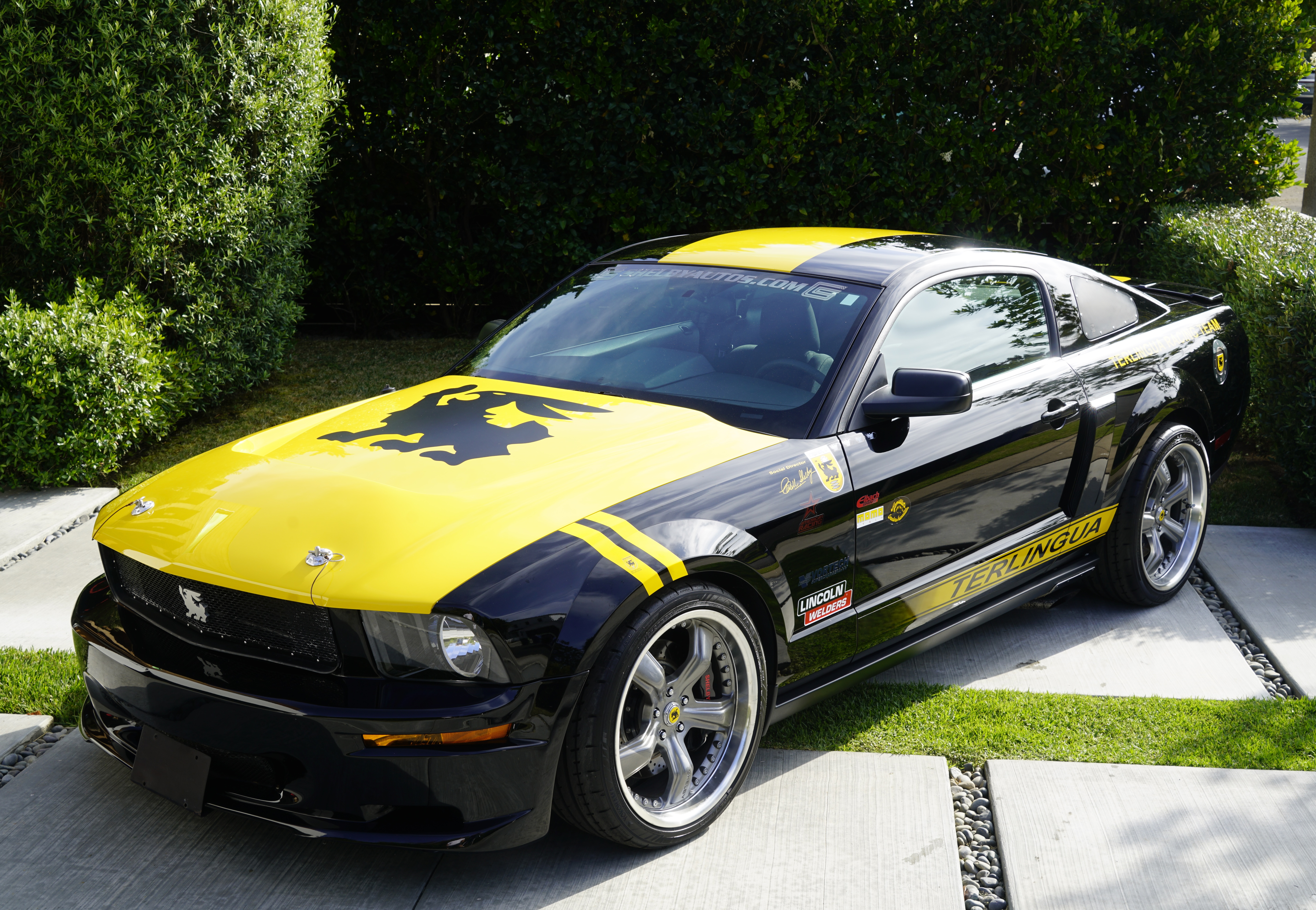 2008 Shelby Terlingua Mustang
