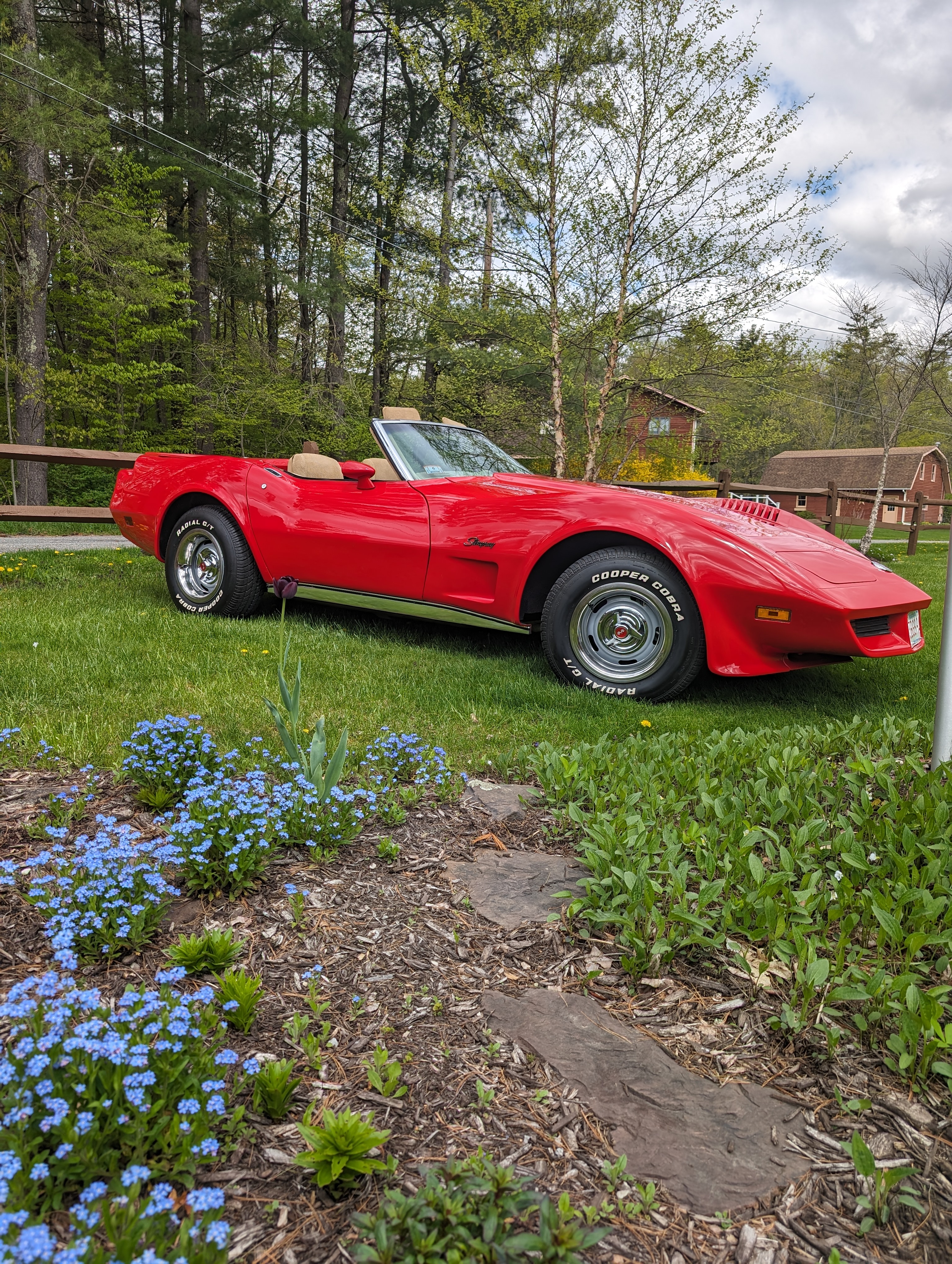 1974 Chevrolet Corvette