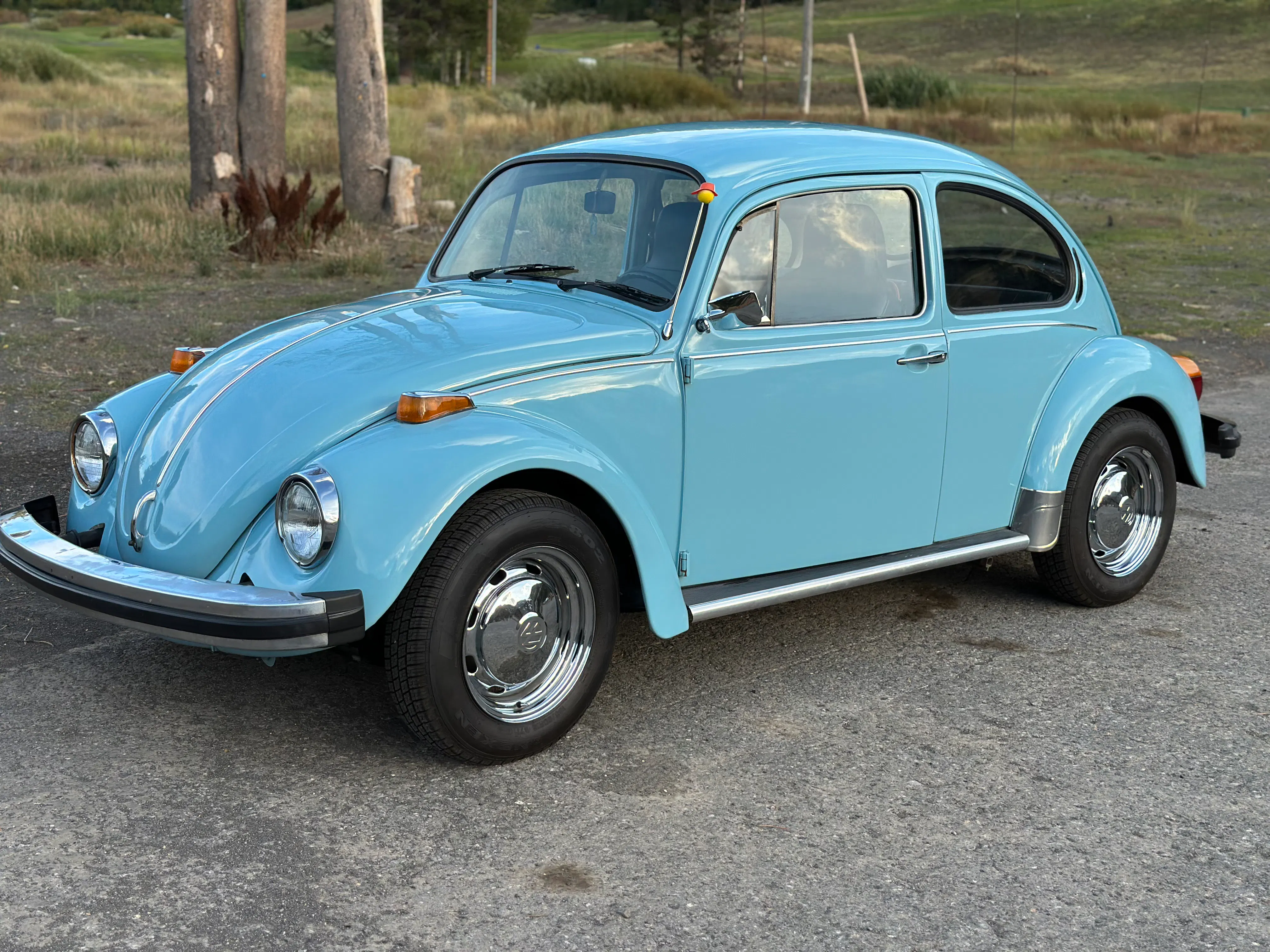 1974 Volkswagen Beetle