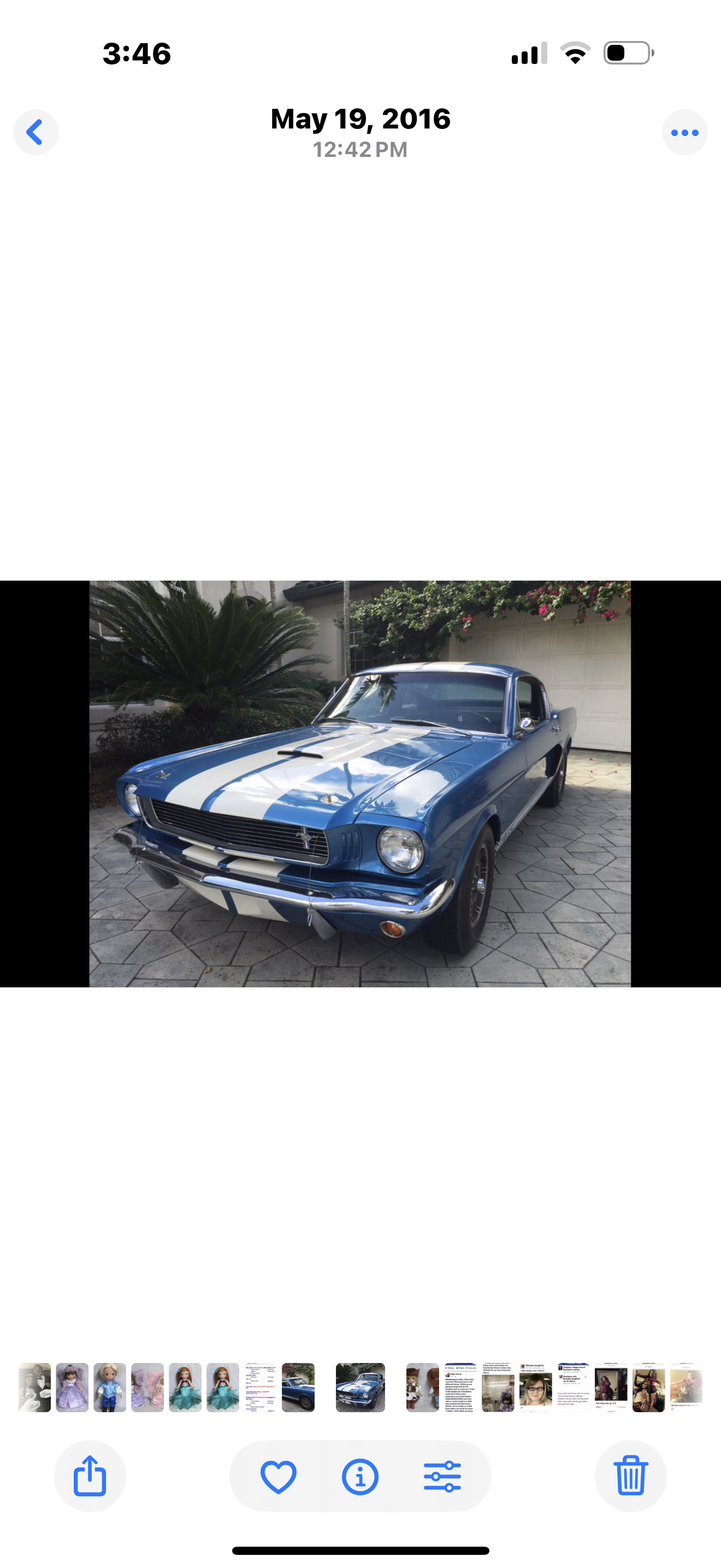1966 Shelby GT350
