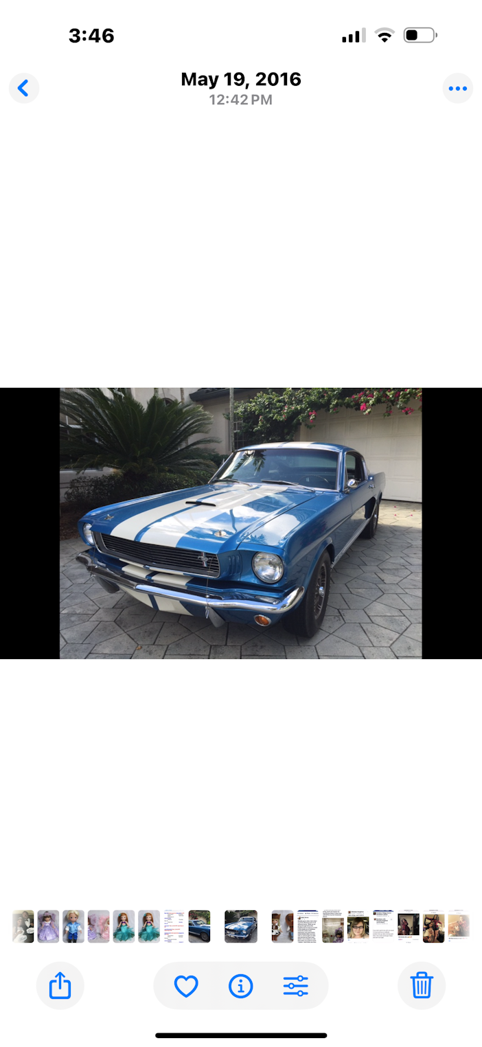 1966 Shelby GT350