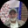 TM_ygnd1s' avatar