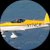 Owner Avatar