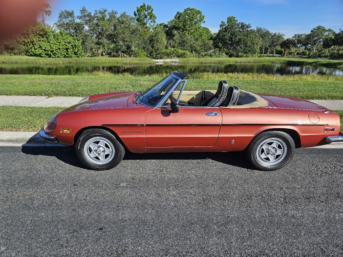 1981 Alfa Romeo Spider