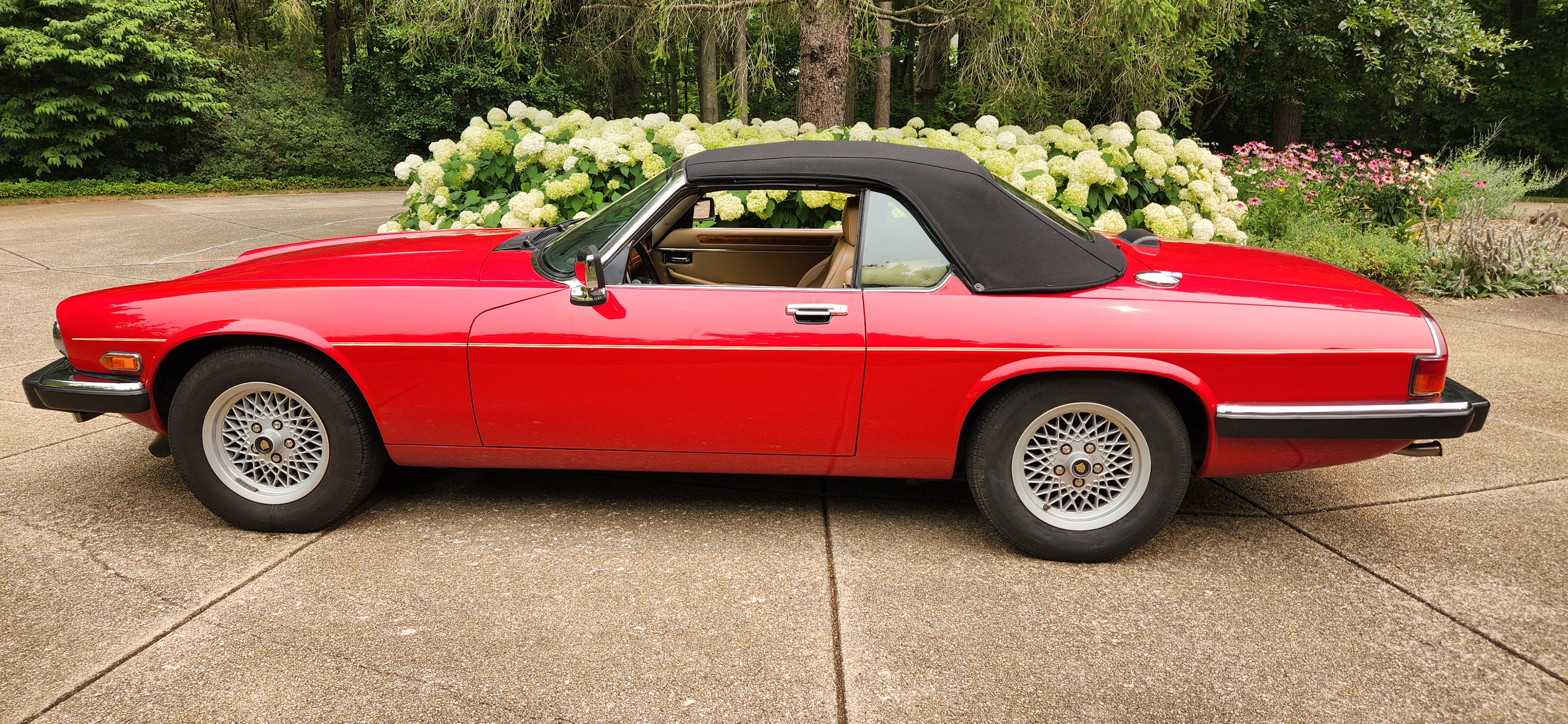 1989 Jaguar XJ-S