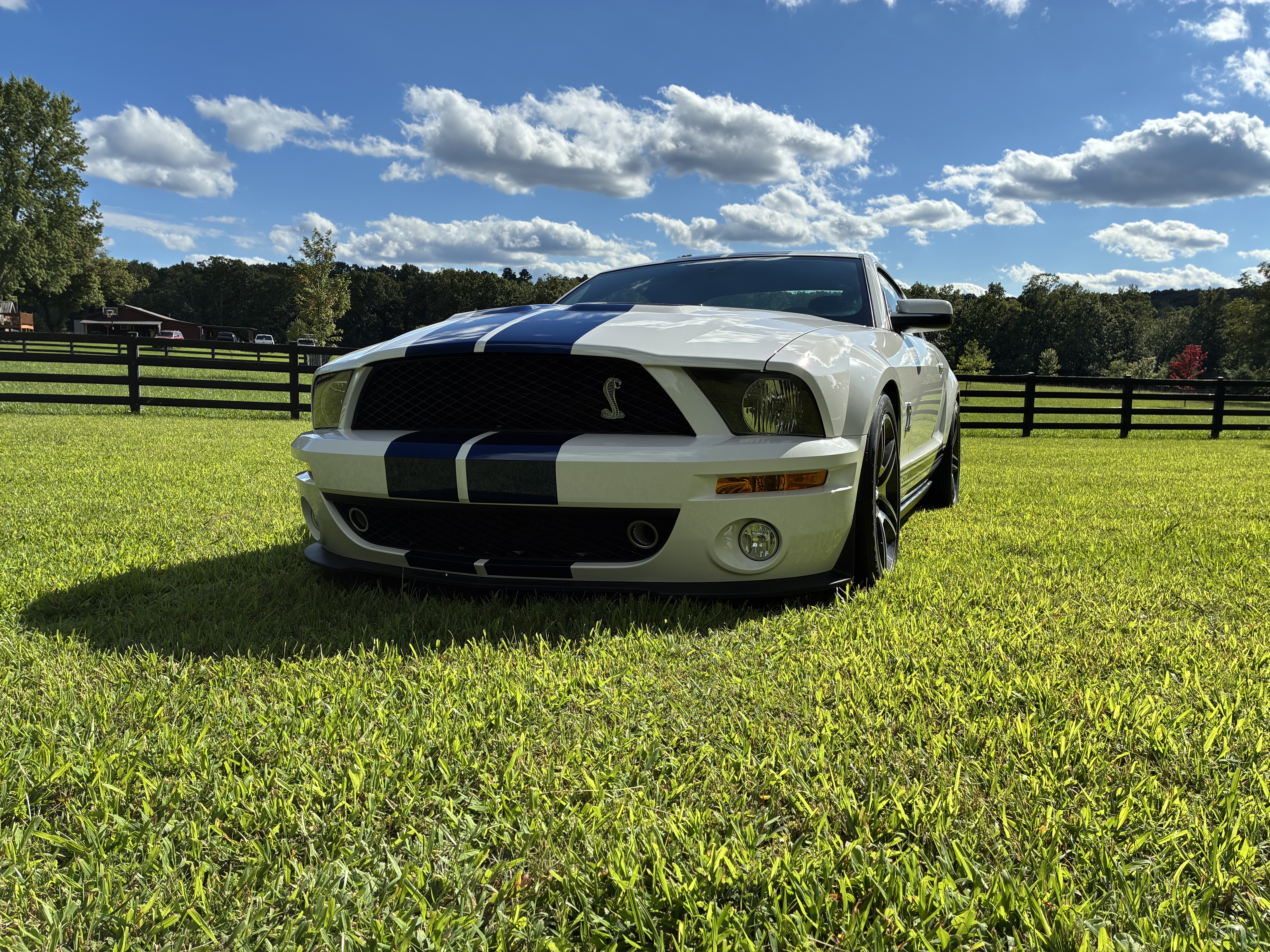 2007 Ford Mustang Shelby GT500