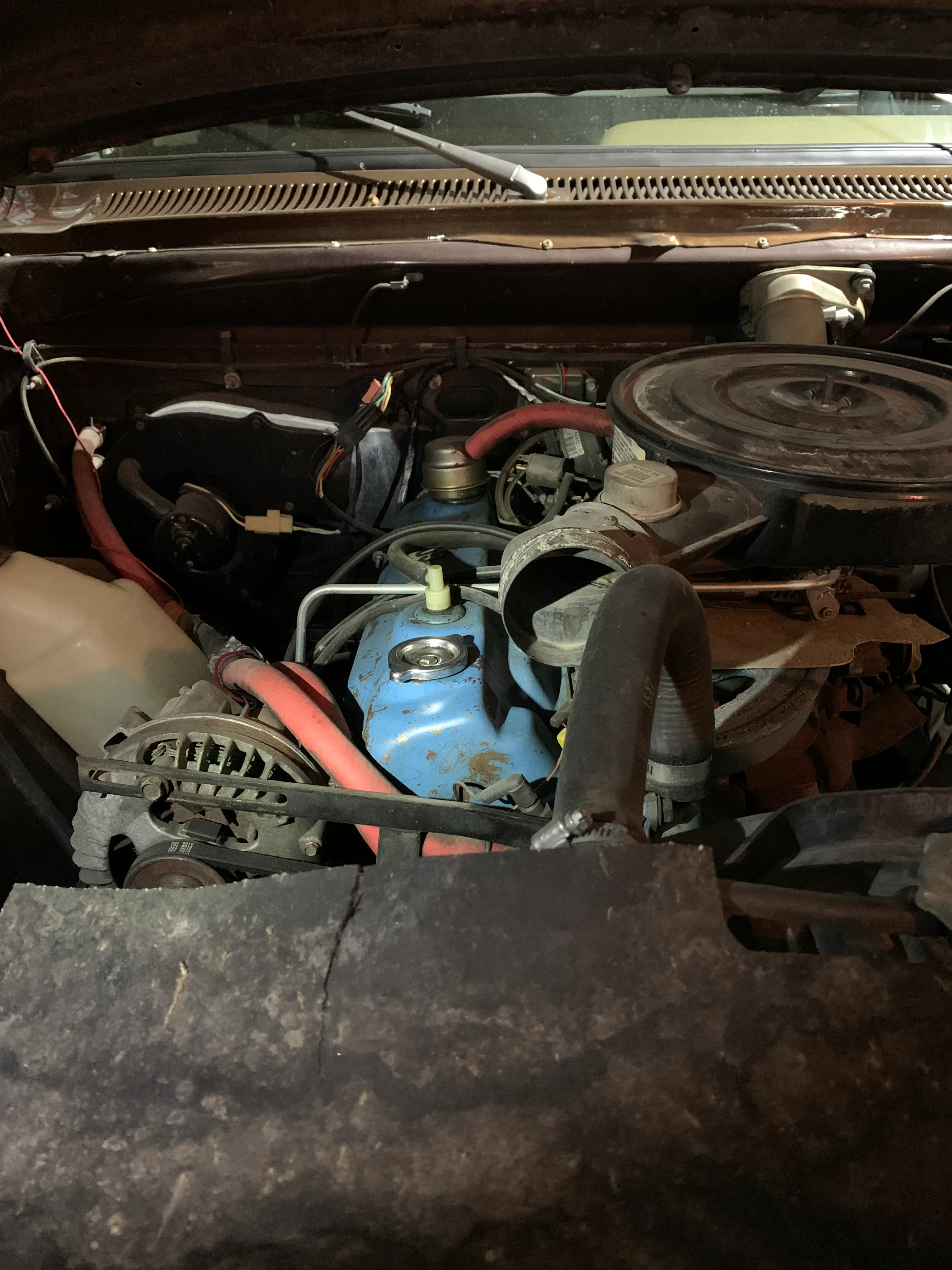 1981 Dodge D150