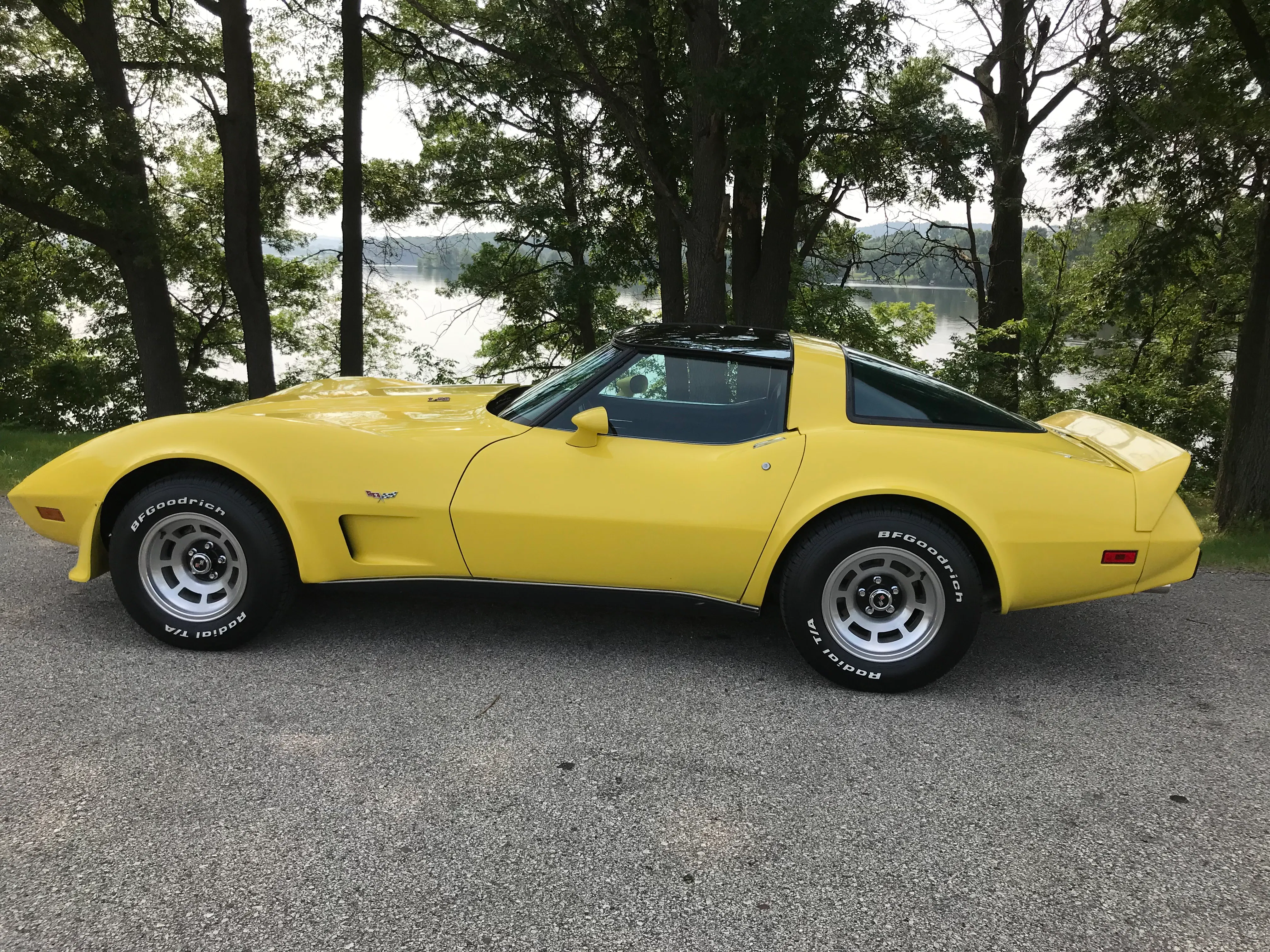 1979 Chevrolet Corvette