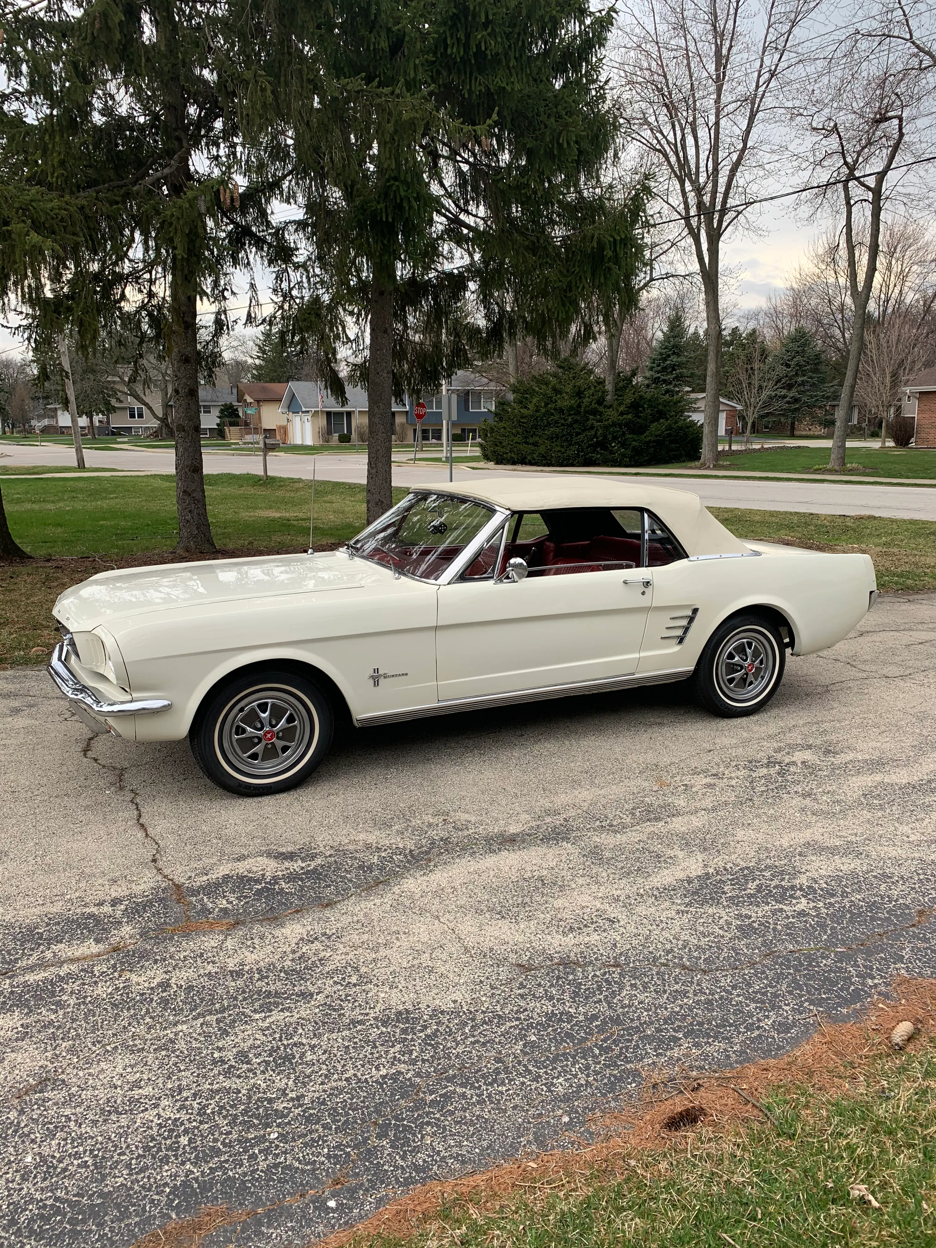 1966 Ford Mustang
